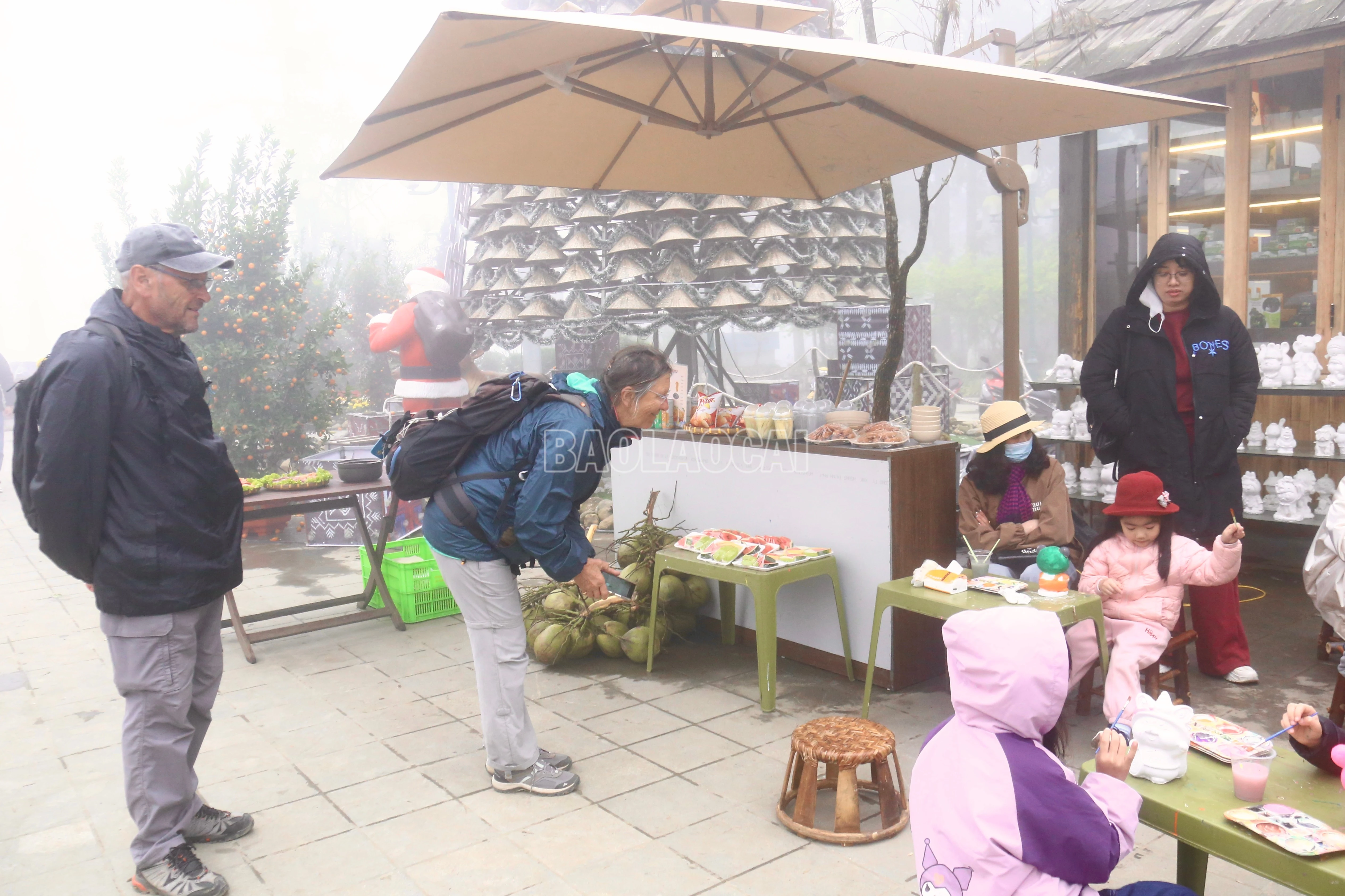 baolaocai-c_img-1725.jpg