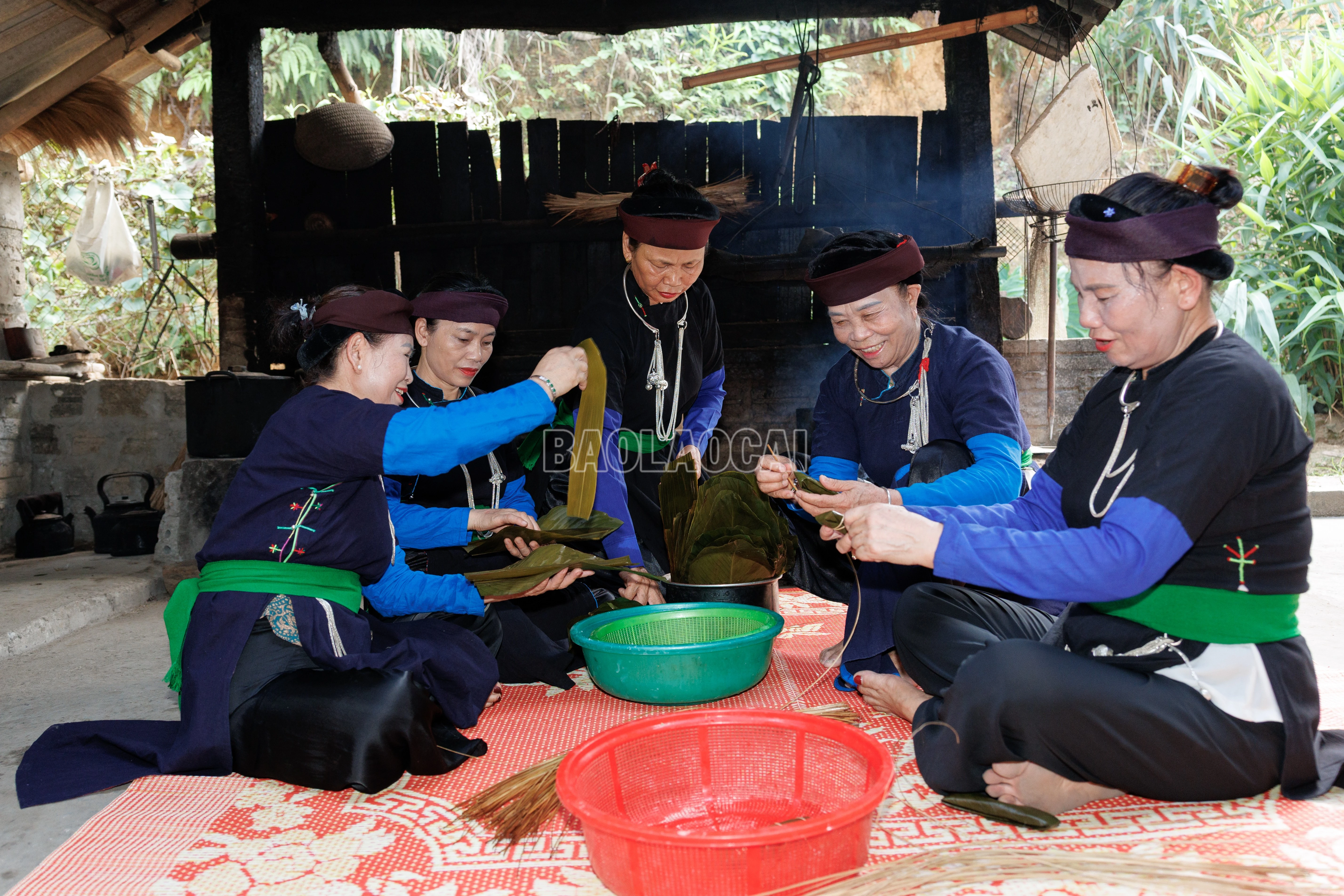 baolaocai-c_900a8862.jpg