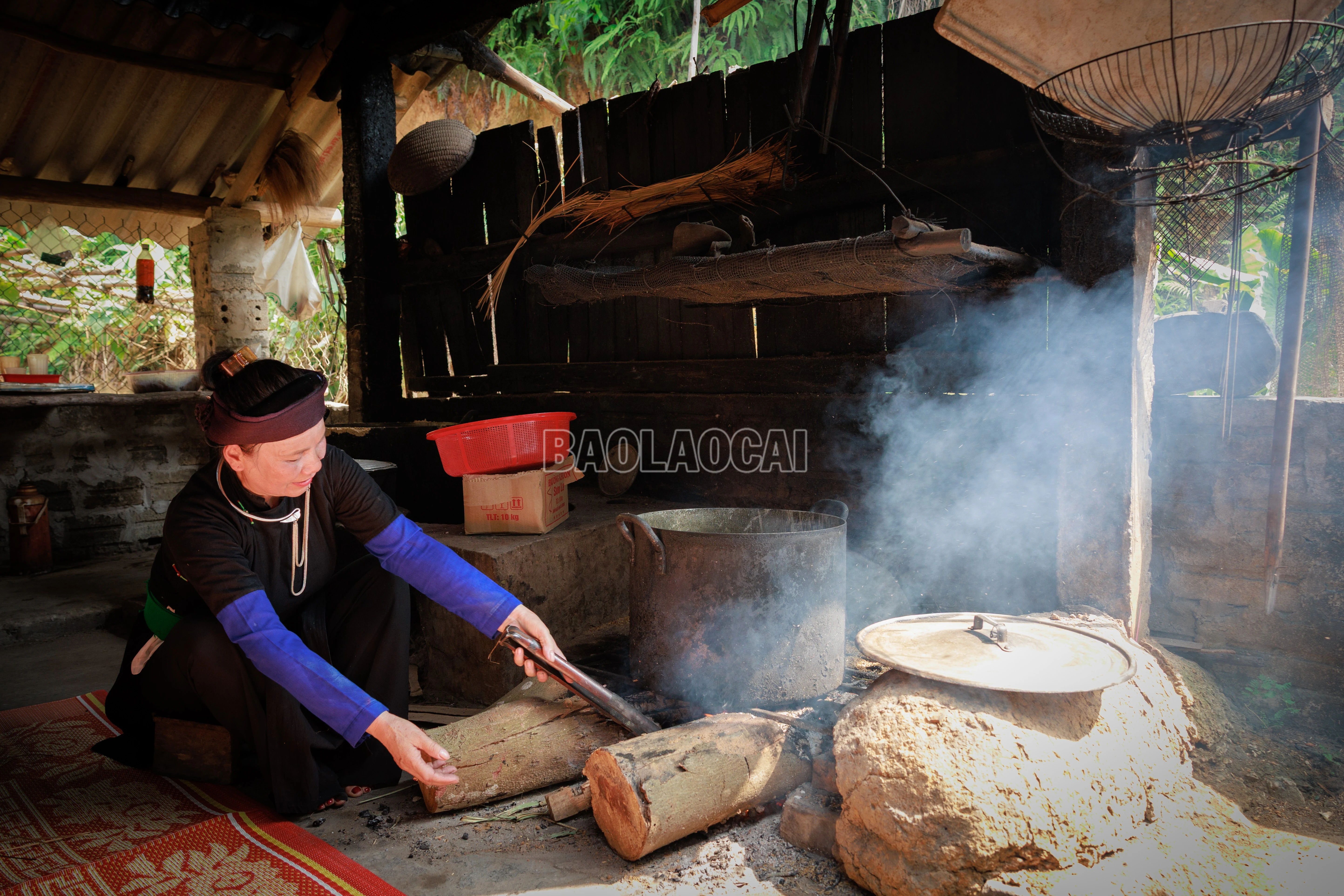 baolaocai-c_900a9006.jpg