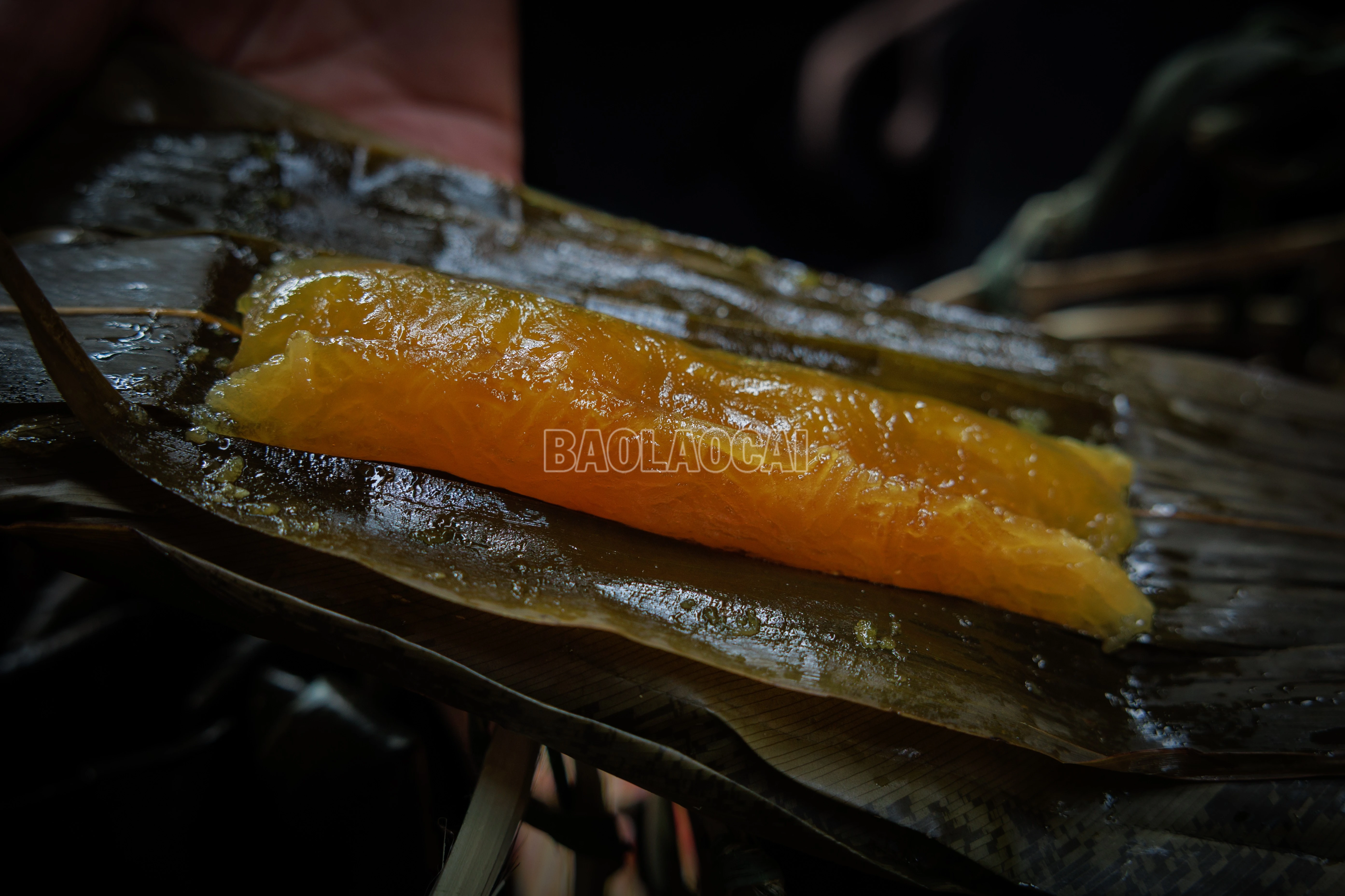 baolaocai-c_900a9047.jpg