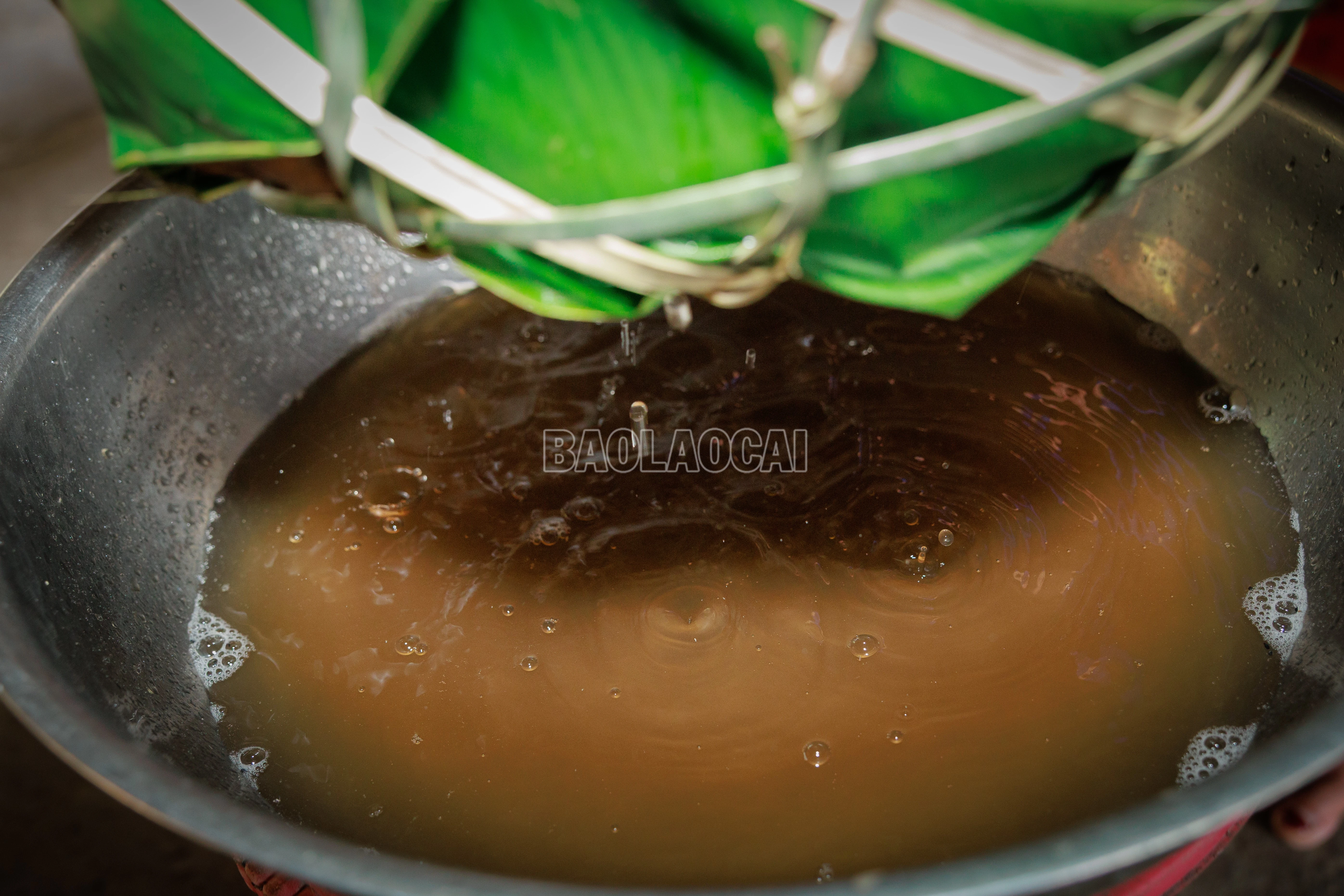 baolaocai-c_900a8783.jpg