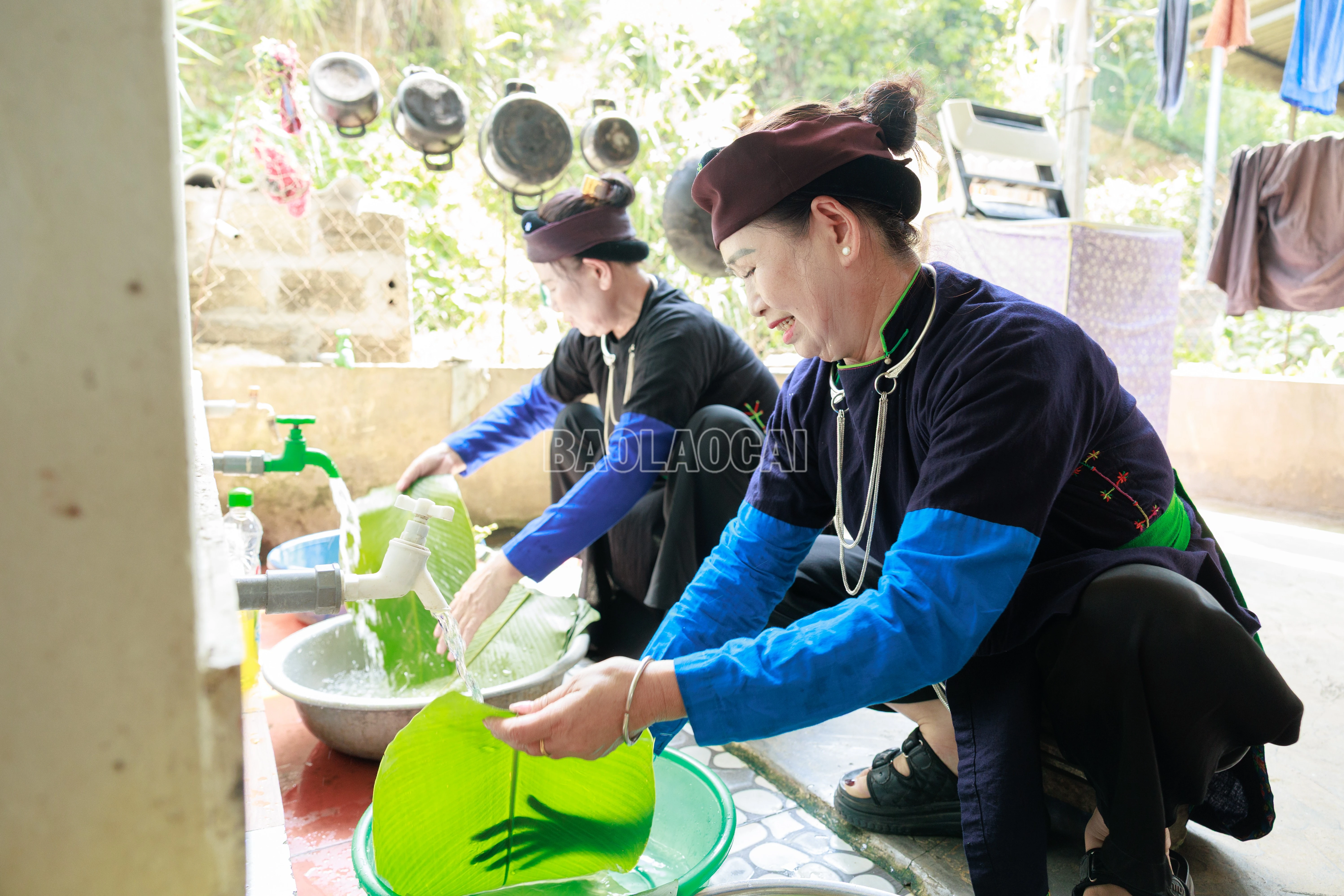 baolaocai-c_900a8679.jpg