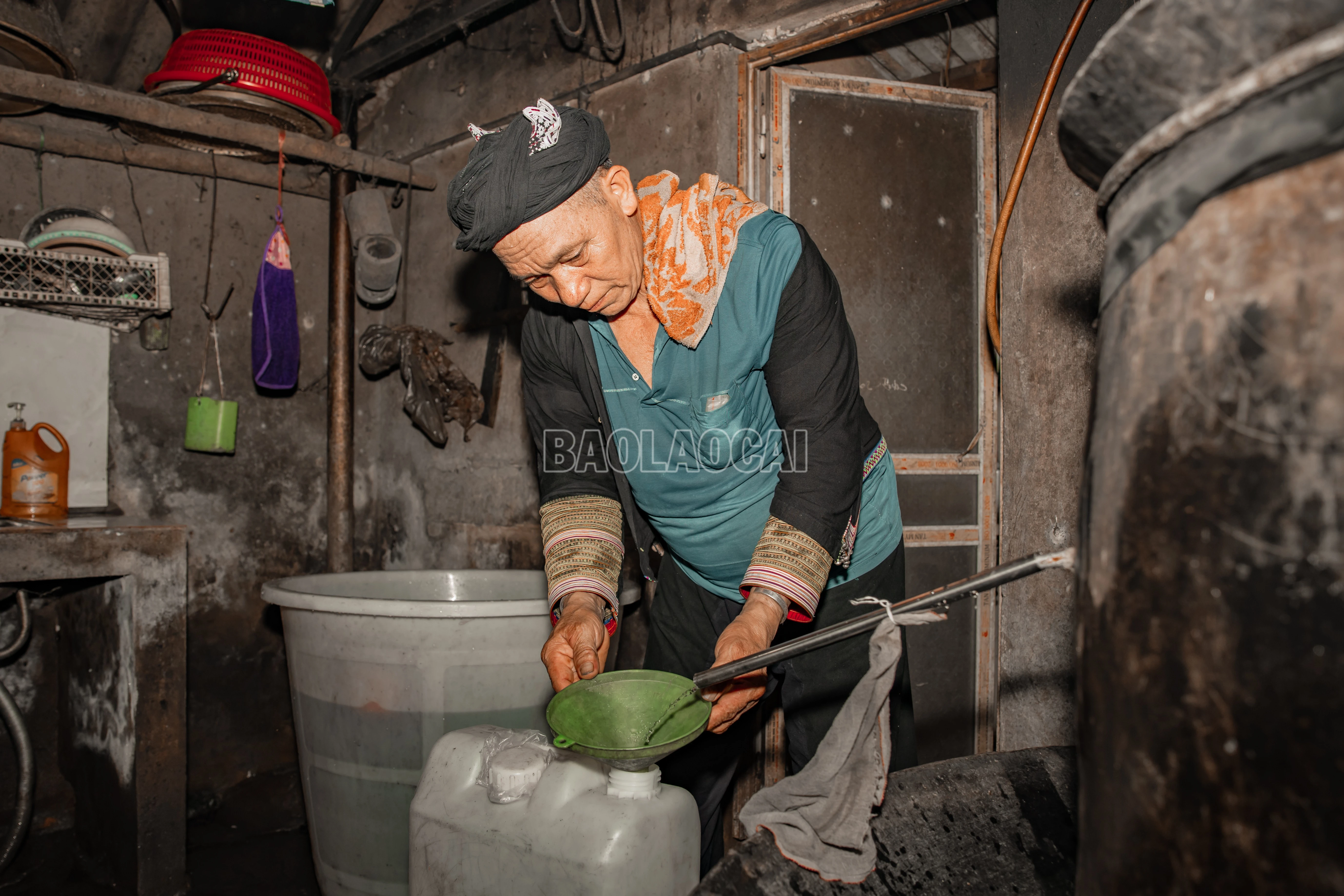 baolaocai-c_900a0104.jpg