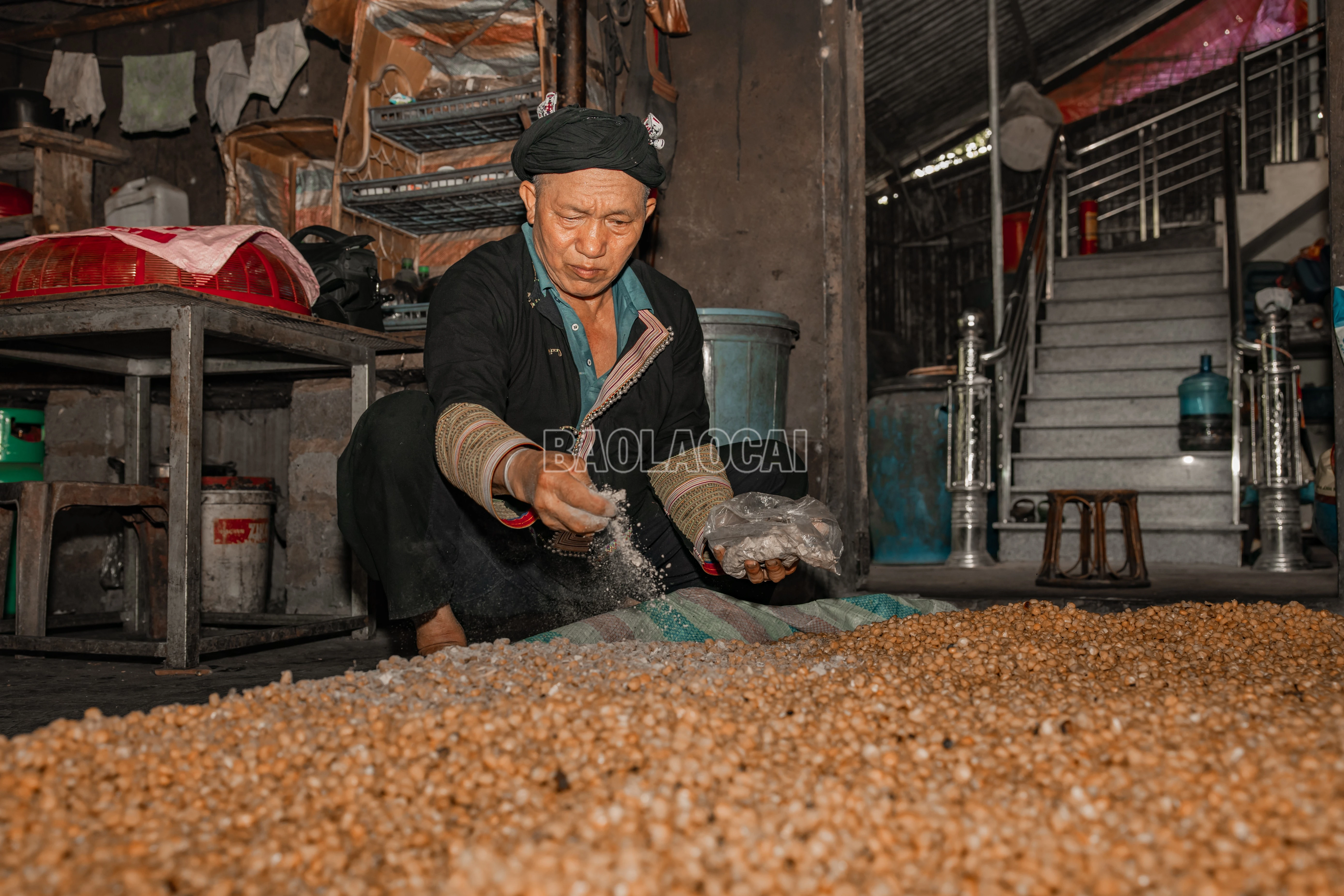 baolaocai-c_900a9972.jpg