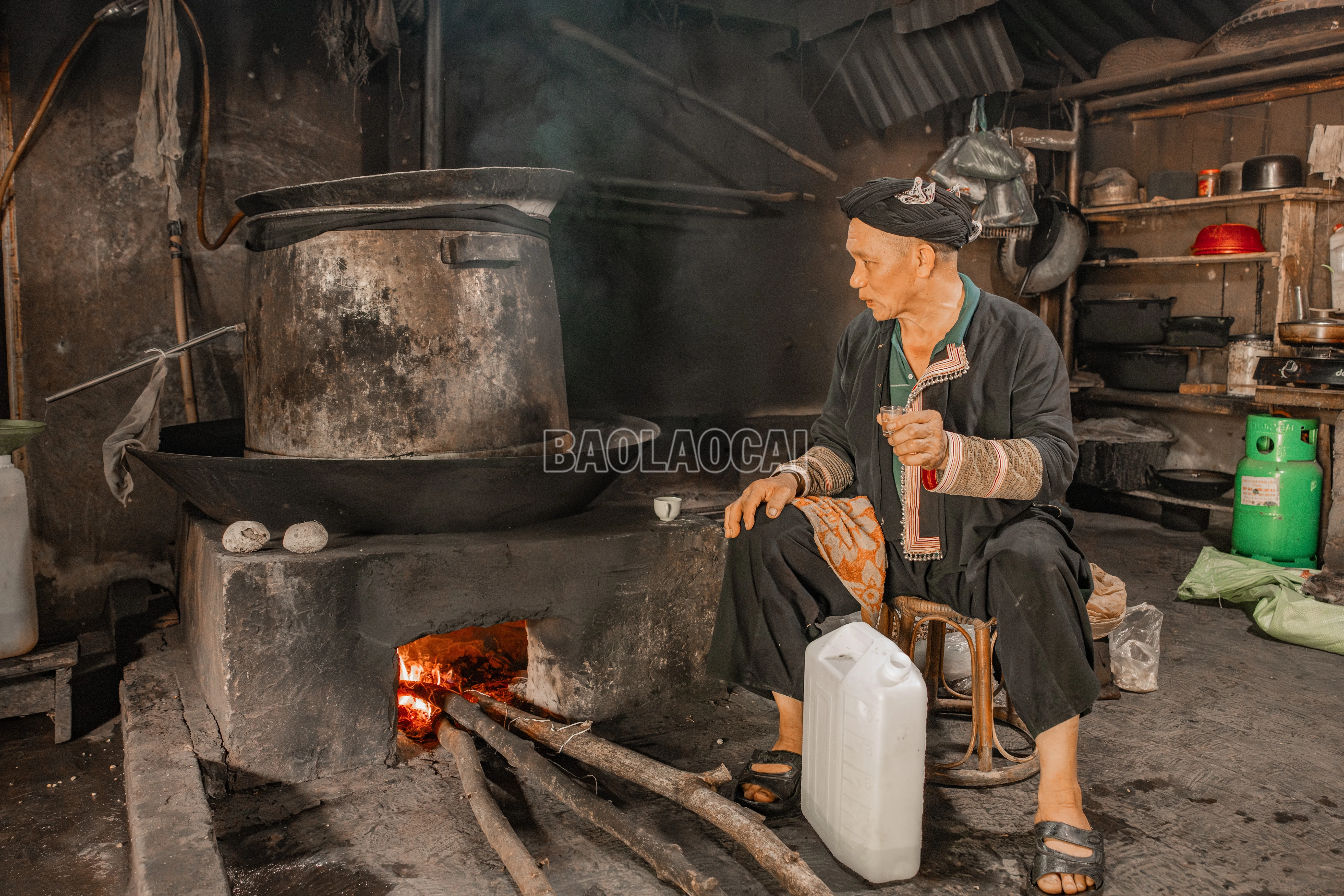 baolaocai-c_900a0189.jpg