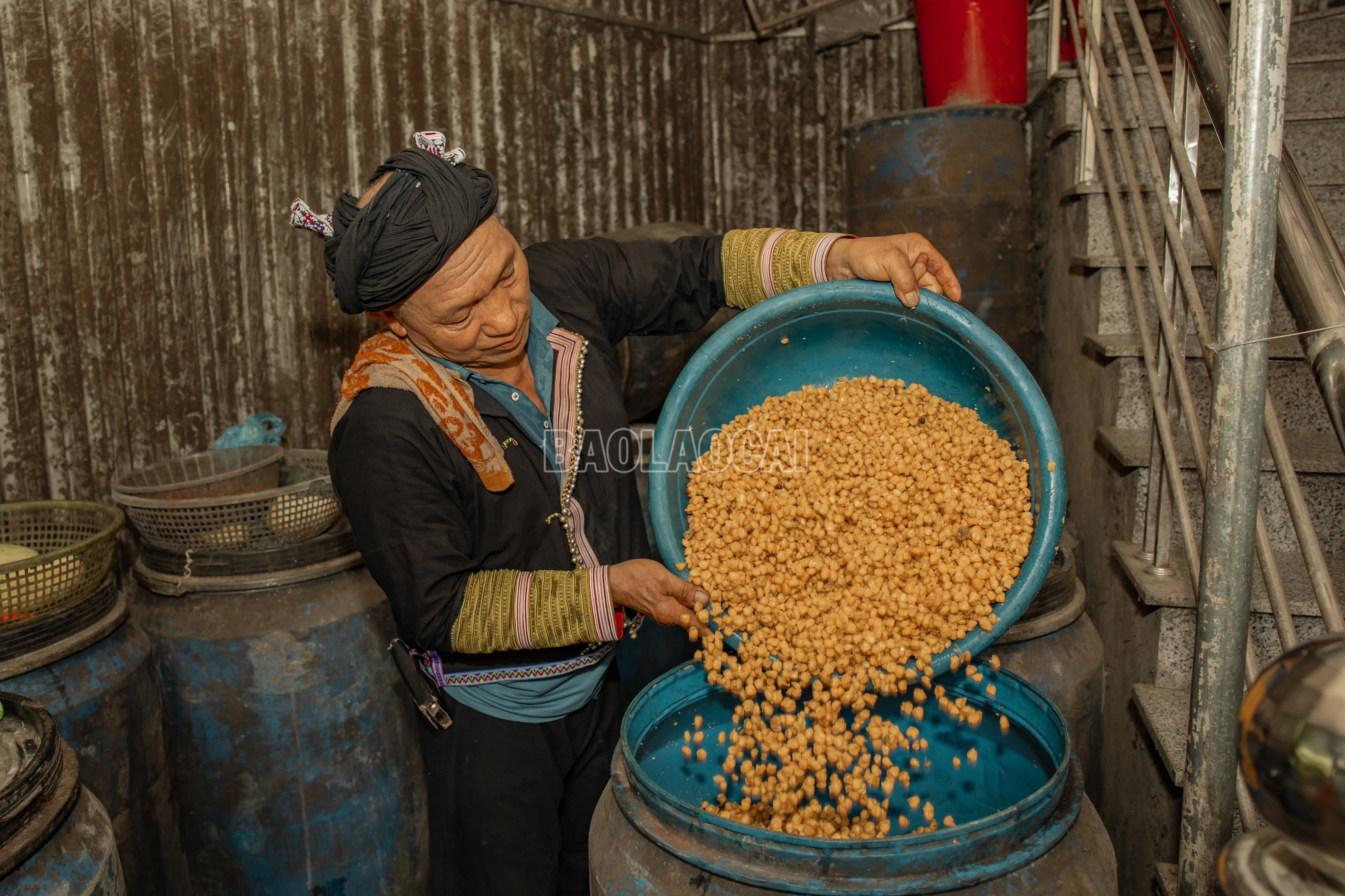 baolaocai-c_900a0031.jpg