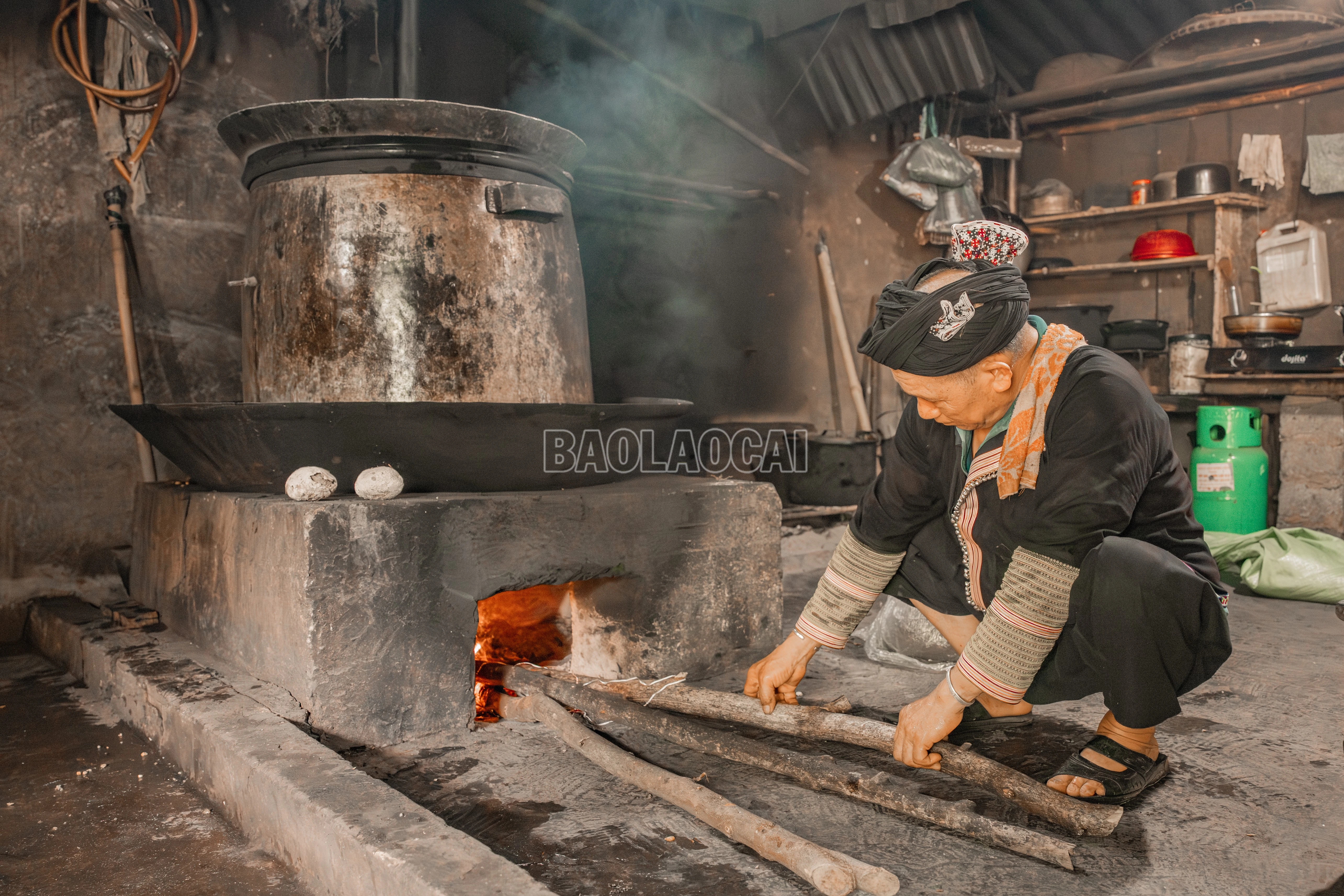 baolaocai-c_900a0086.jpg