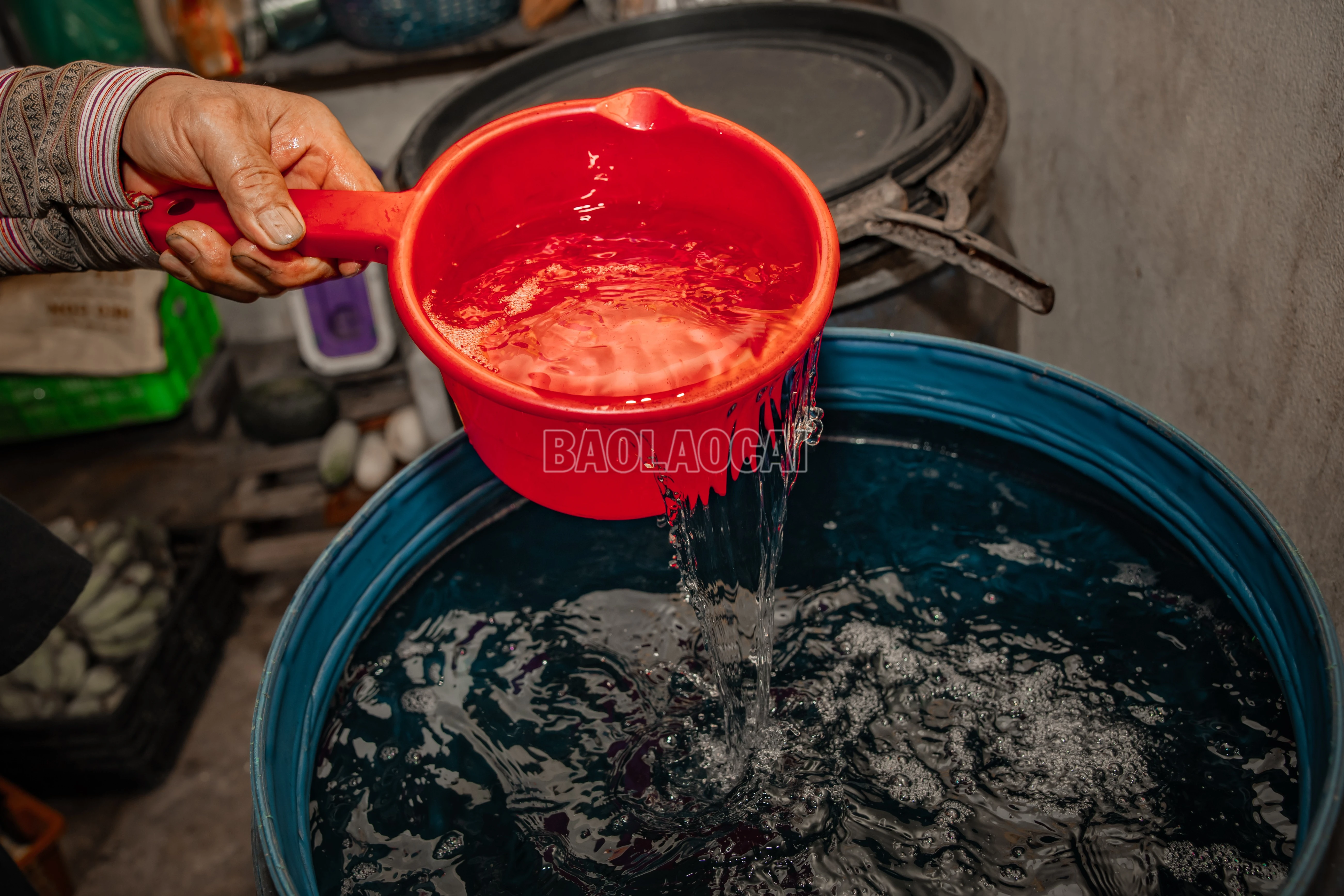 baolaocai-c_900a0112.jpg