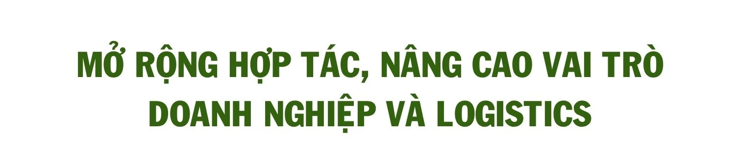 487-sao-chep.jpg