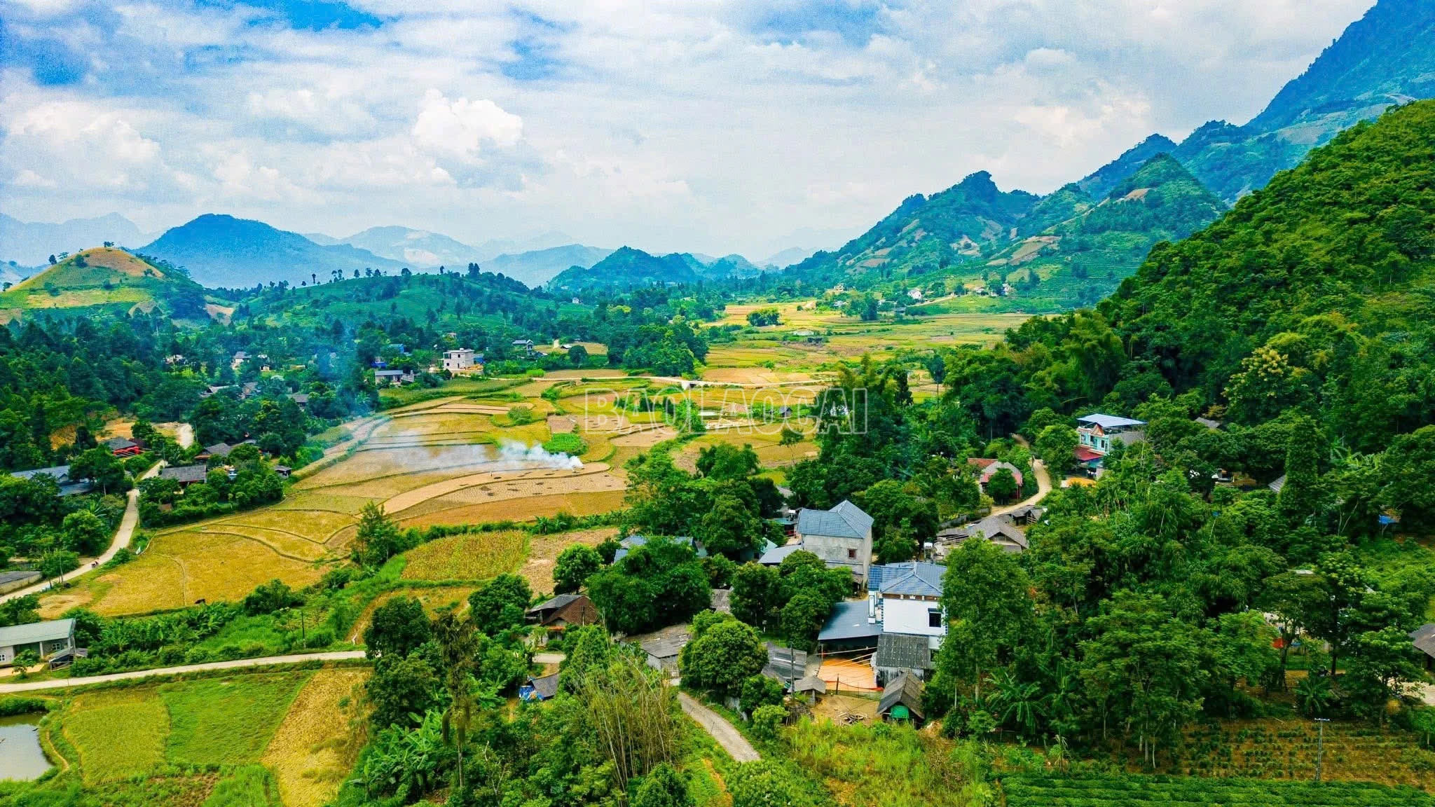 baolaocai-c_img-6092.jpg