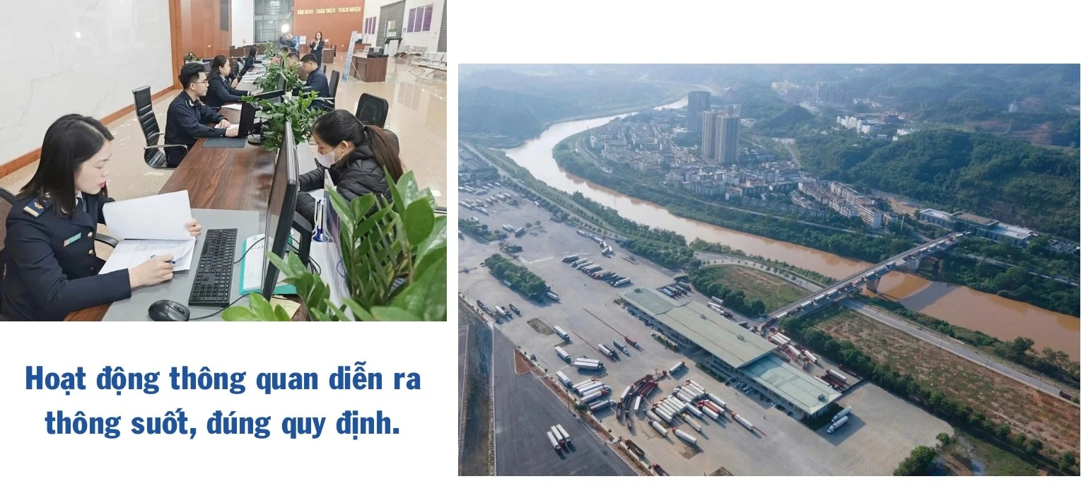 ngo-thu-nhap-bap-benh-trong-khi-chuoi-bi-benh-khien-gia-dinh-anh-ho-gap-kho-440.jpg