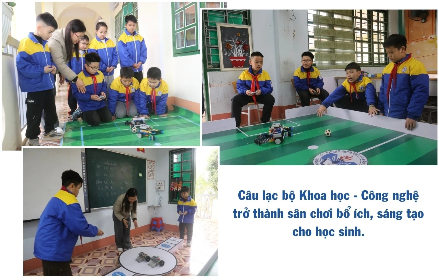 ngo-thu-nhap-bap-benh-trong-khi-chuoi-bi-benh-khien-gia-dinh-anh-ho-gap-kho-447.jpg