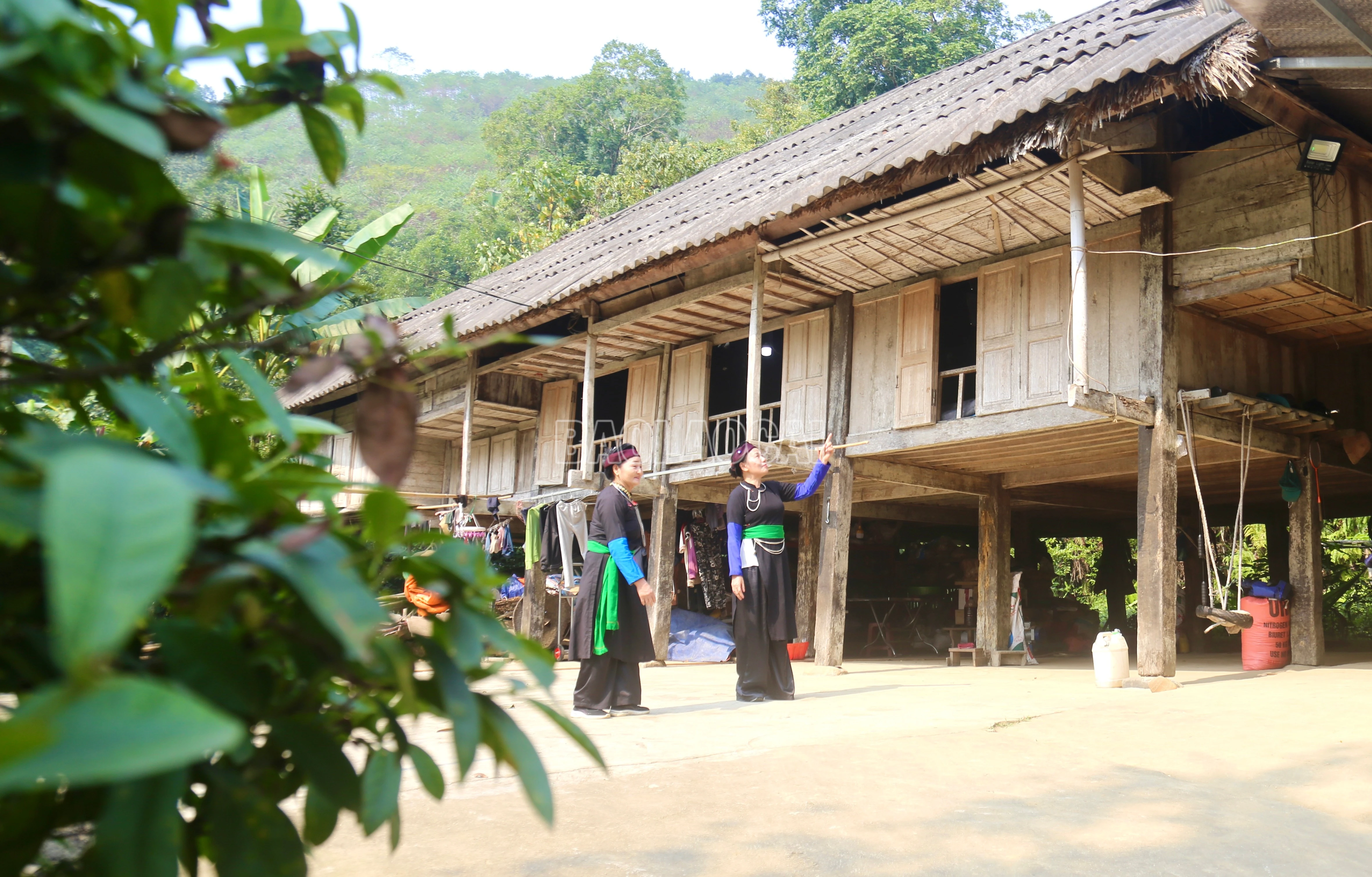 baolaocai-c_img-0159.jpg