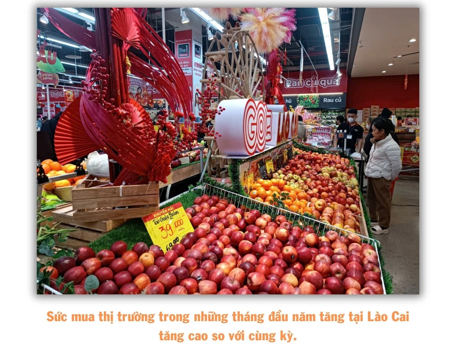 486.jpg