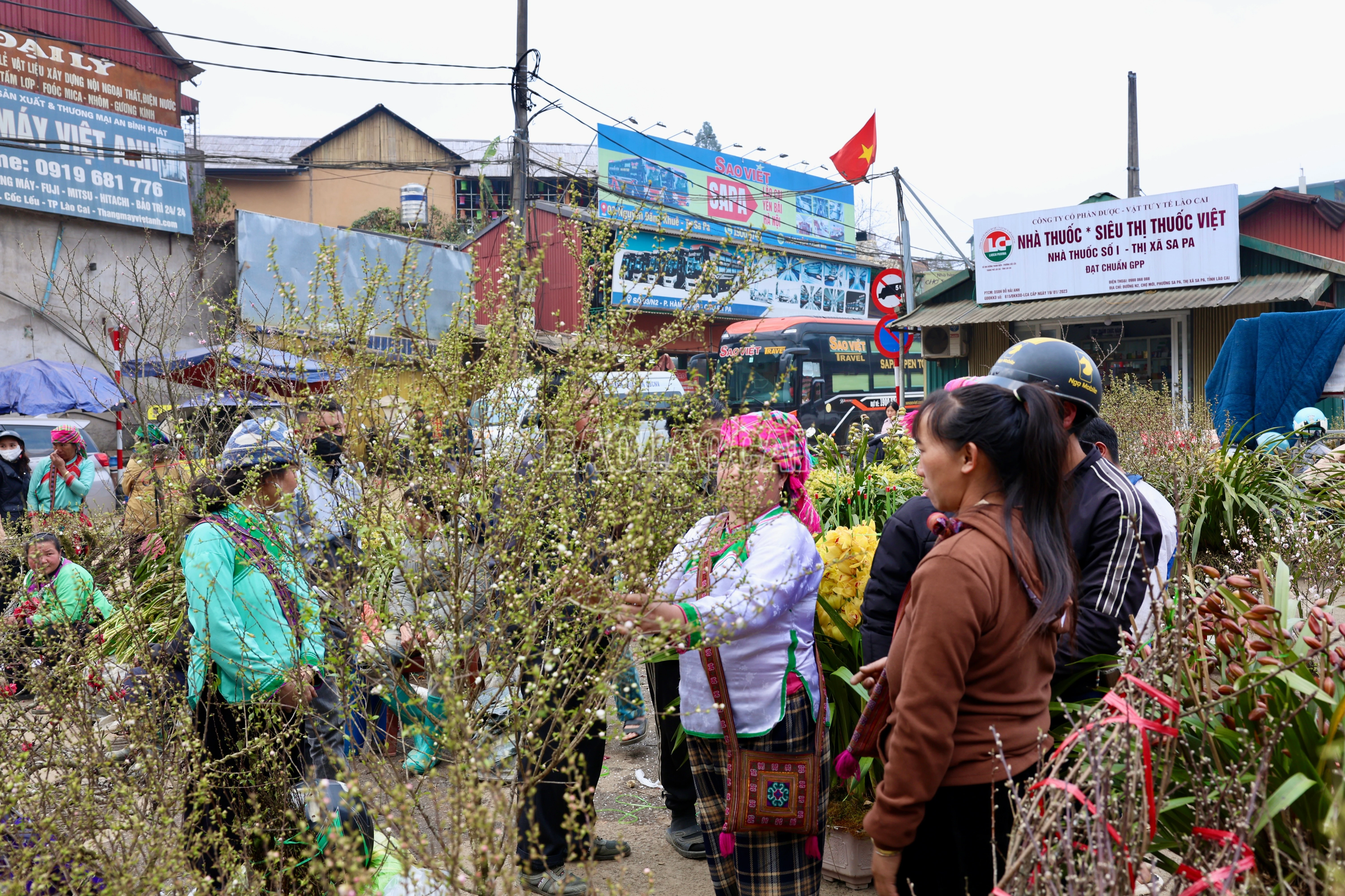 baolaocai-c_900a2682.jpg