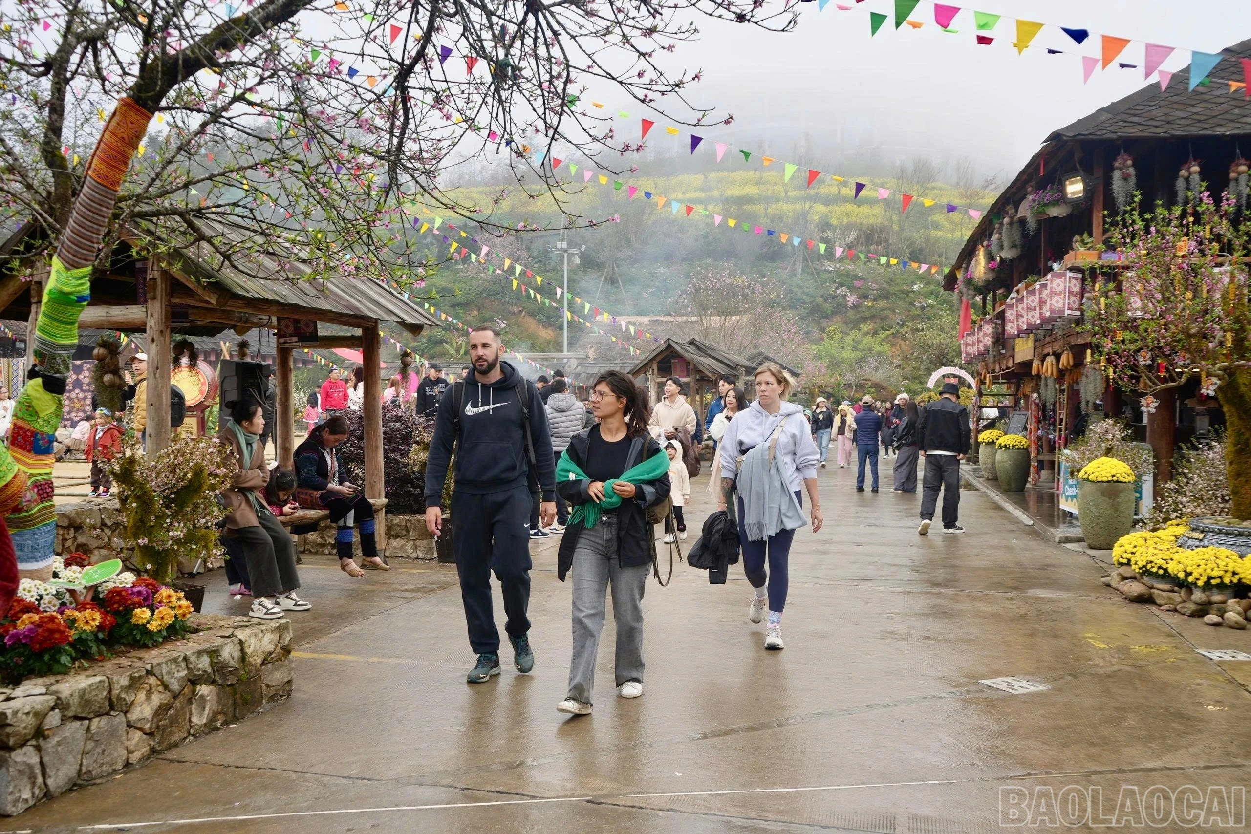 baolaocai-br_img-3149.jpg