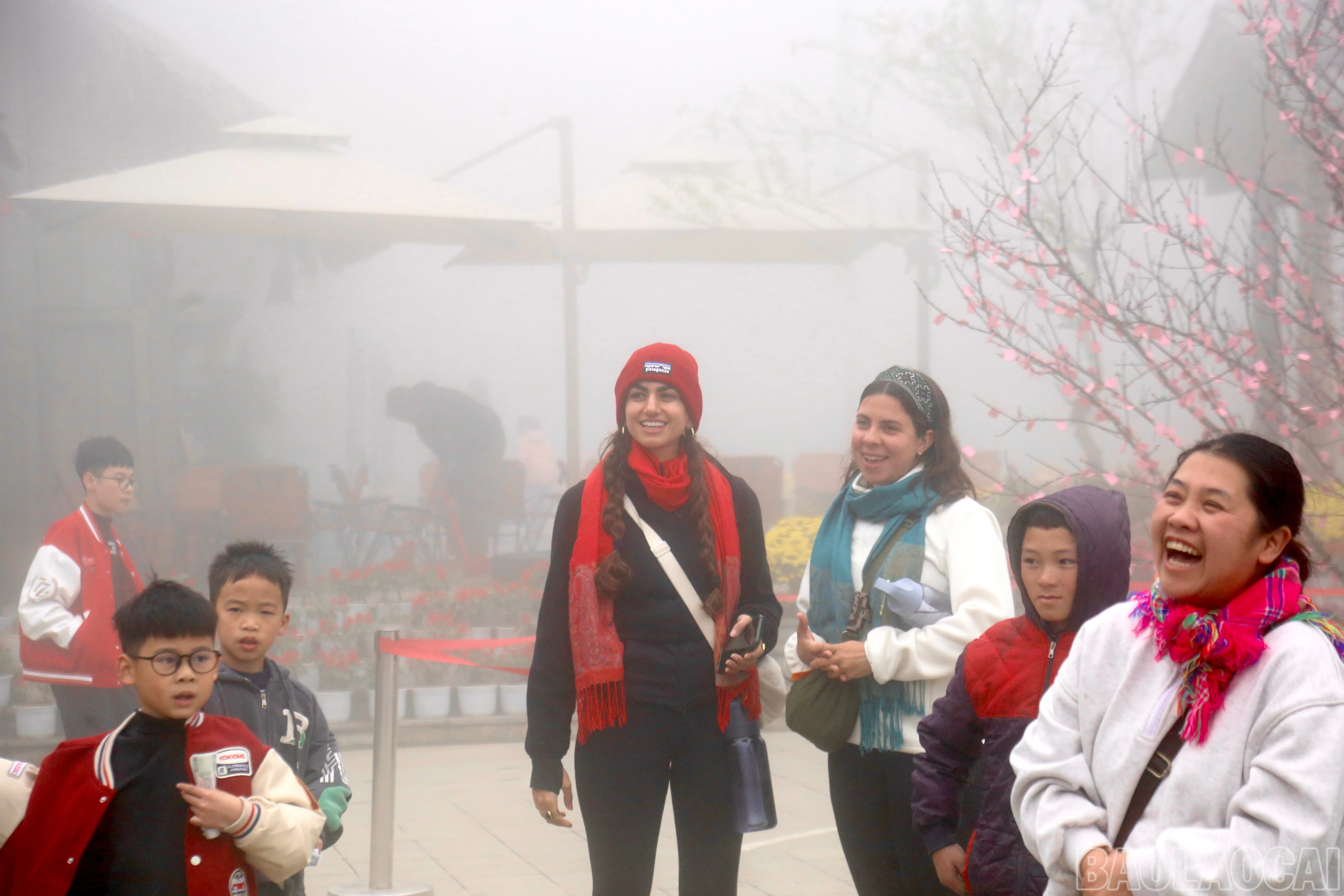 baolaocai-br_img-1678.jpg