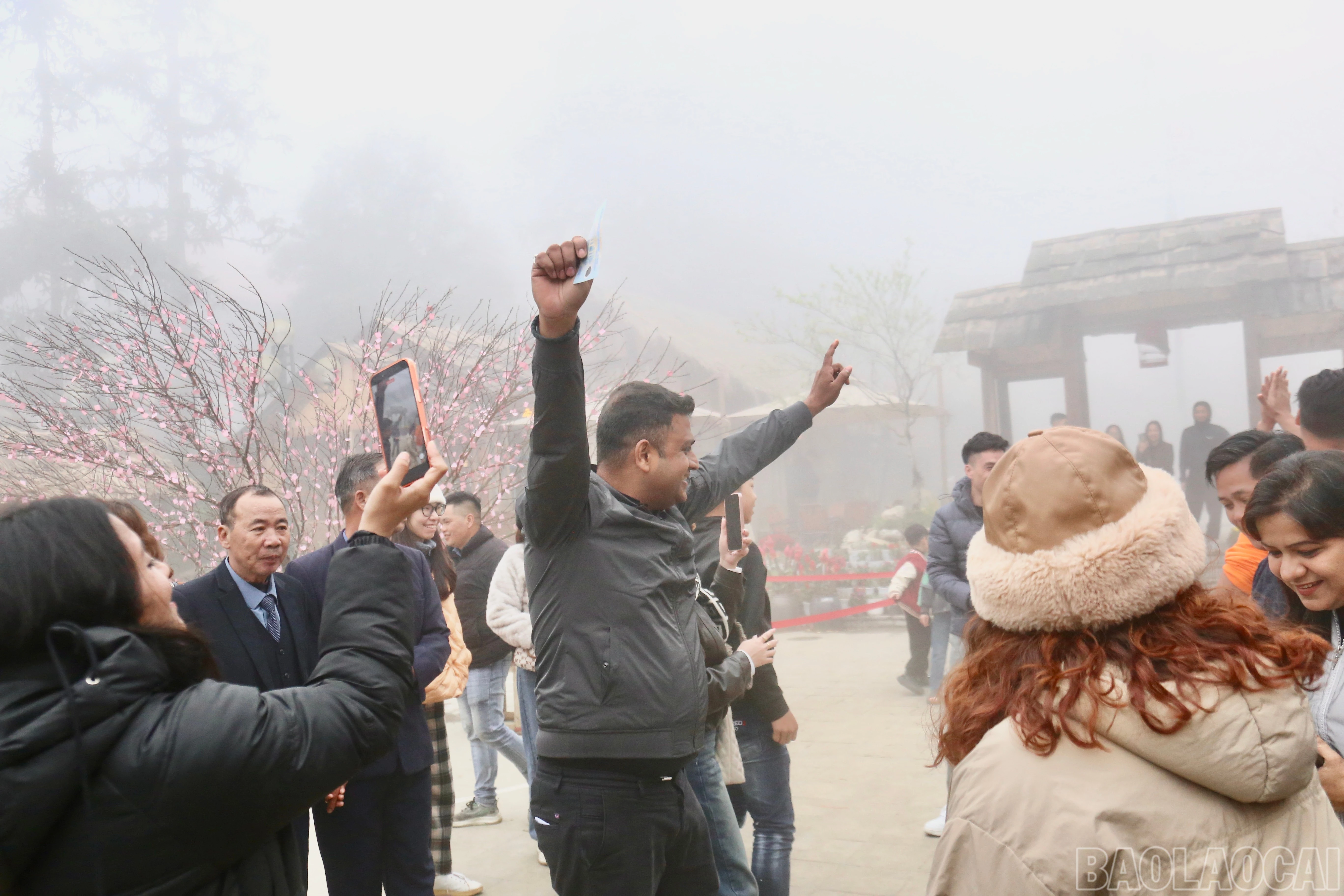 baolaocai-br_img-1714.jpg