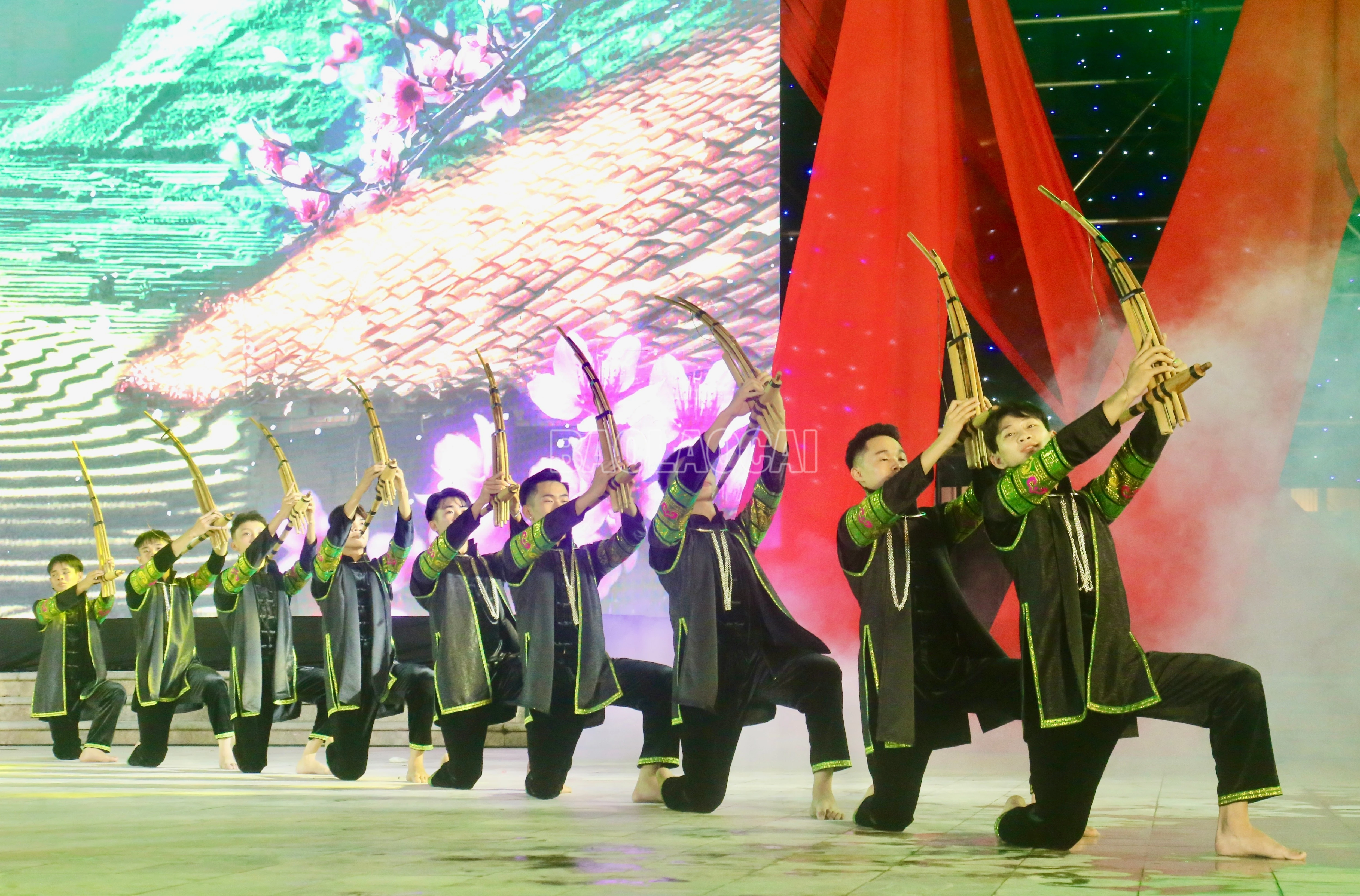 baolaocai-c_img-6135.jpg