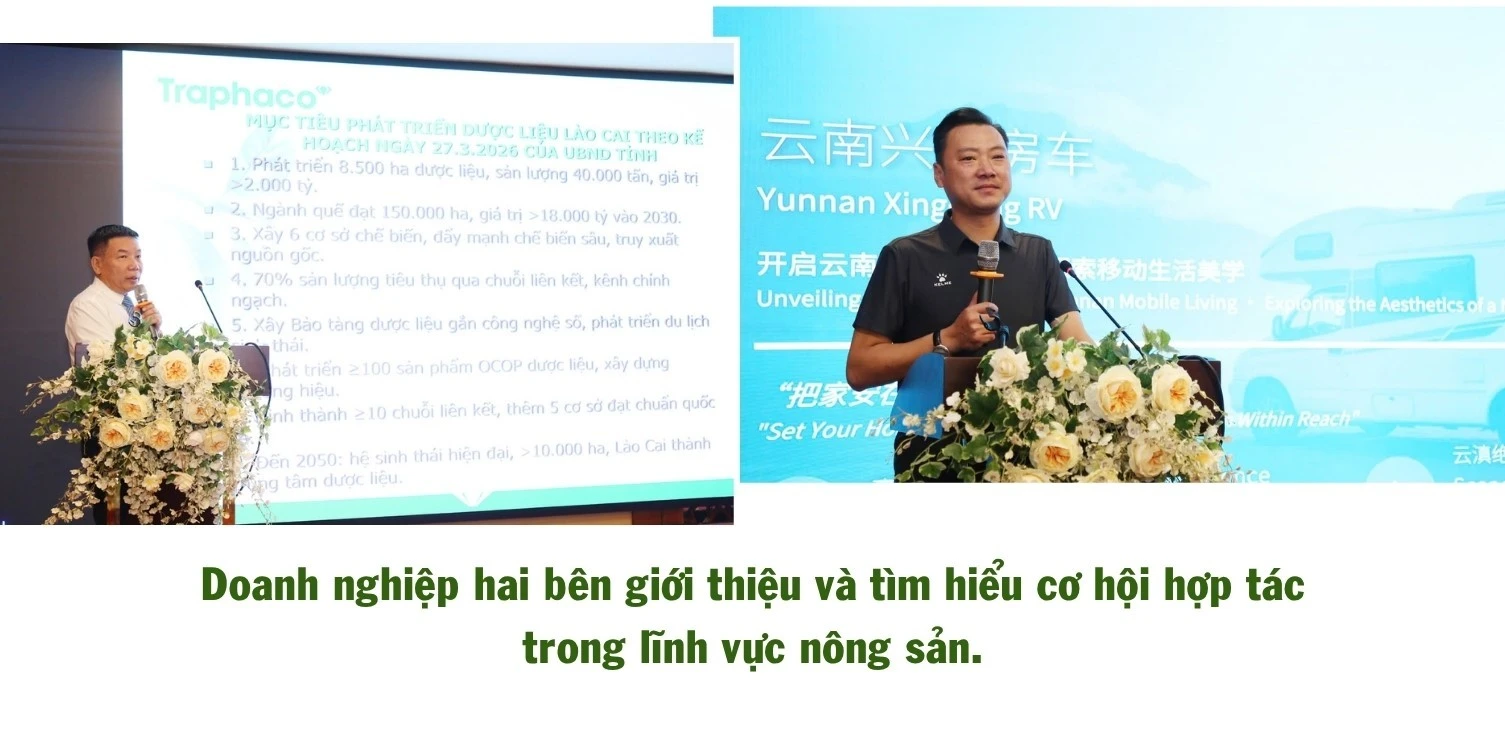 491.jpg