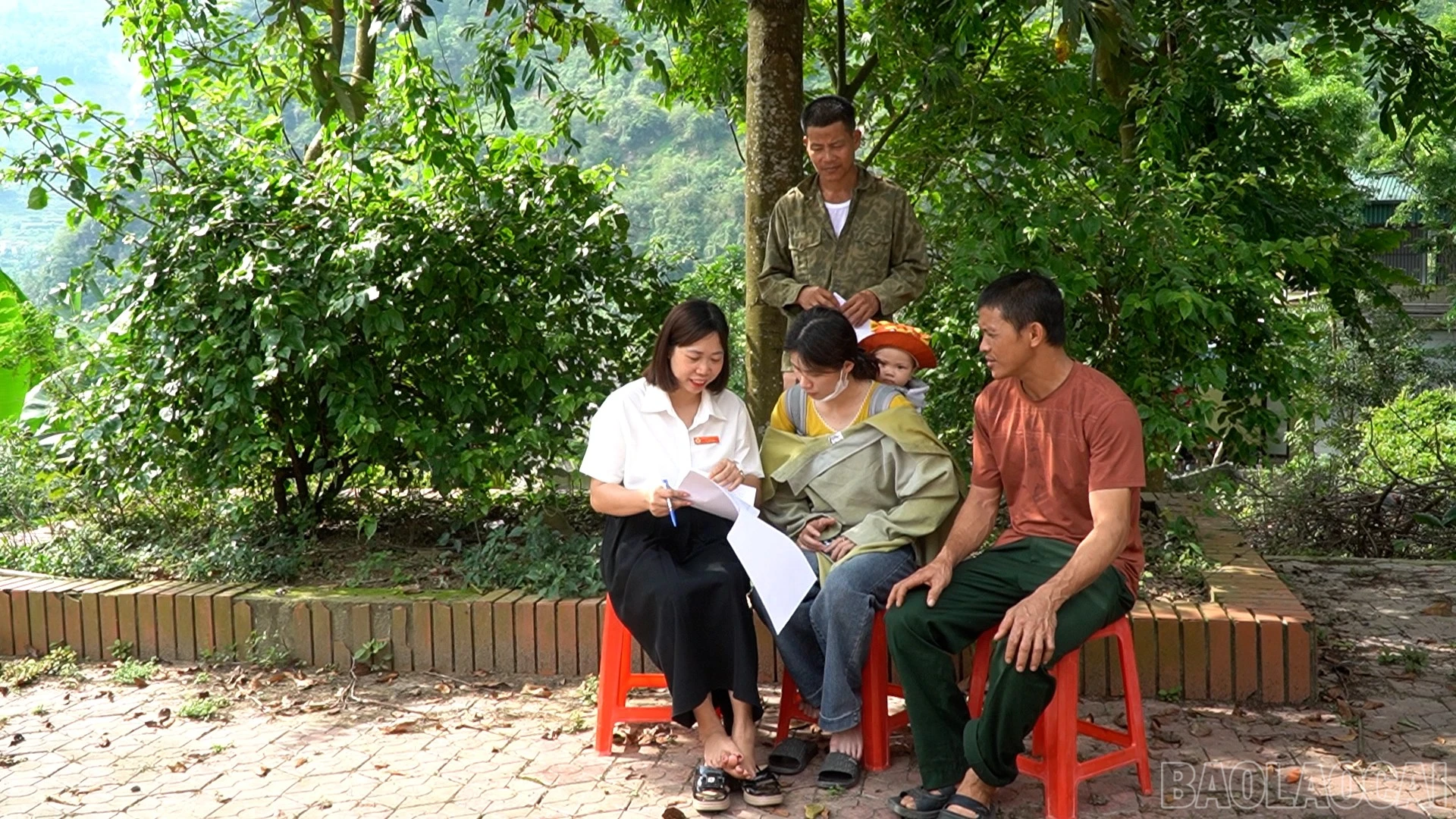 baolaocai-br_11.jpg