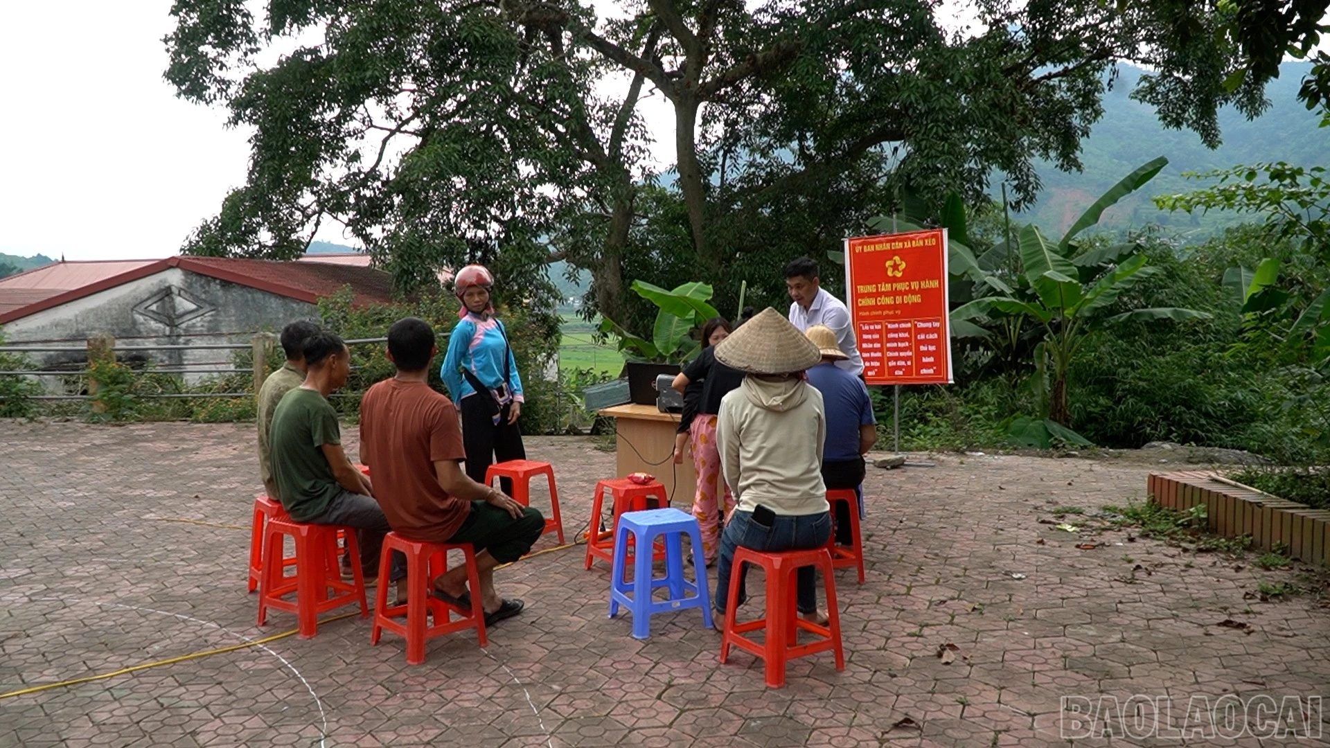 baolaocai-br_6.jpg