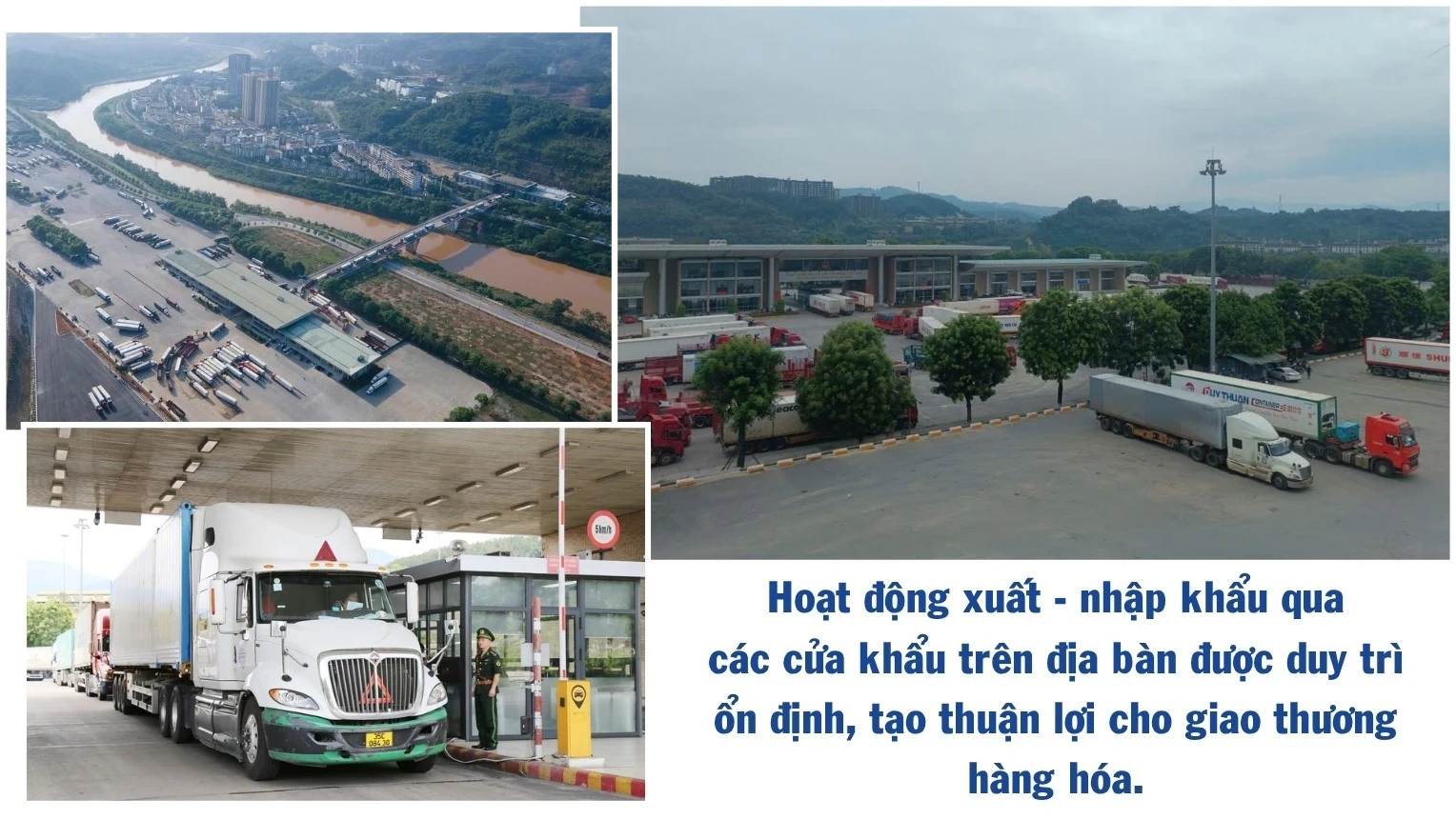 485.jpg