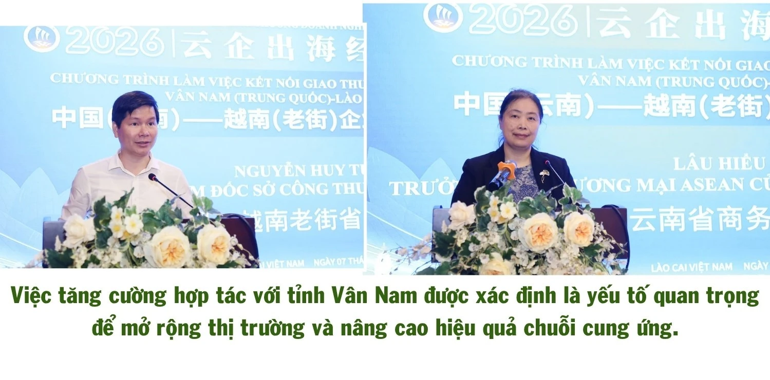 490.jpg
