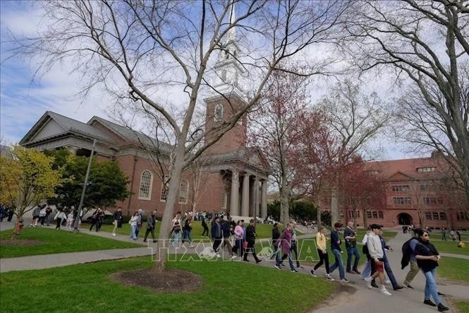Sinh viên tại Đại học Harvard ở Cambridge, bang Massachusetts, Mỹ.