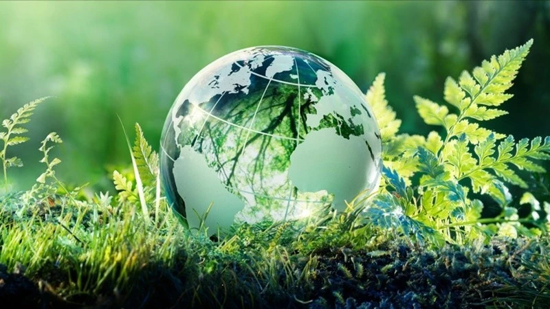 AI không chỉ mang lại hiệu quả về mặt năng suất mà còn đóng góp vào việc bảo vệ môi trường.