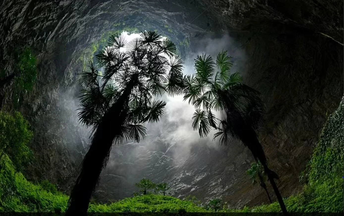 Hình minh họa.