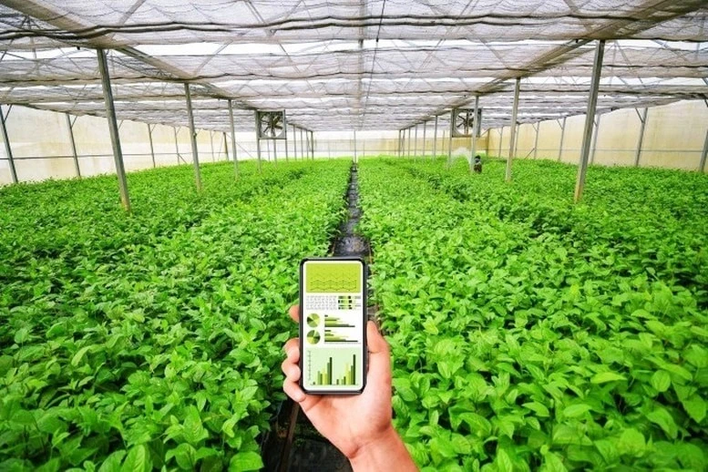 Hợp tác xã, kinh tế tập thể cũng cần đẩy mạnh chuyển đổi số.