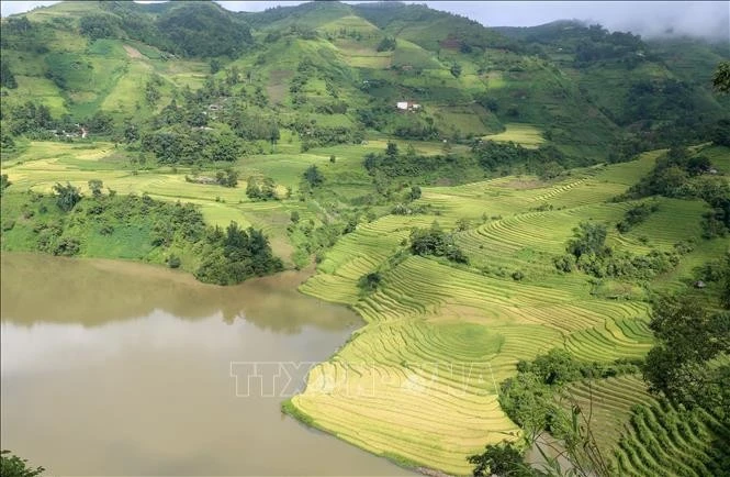 Bức tranh no ấm trên mảnh đất Mường Hum, huyện Bát Xát (Lào Cai).
