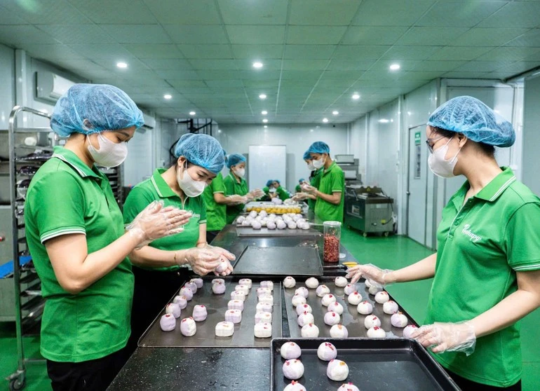 Dây chuyền sản xuất bánh trung thu “healthy”.