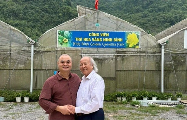 hoa-vang.jpg