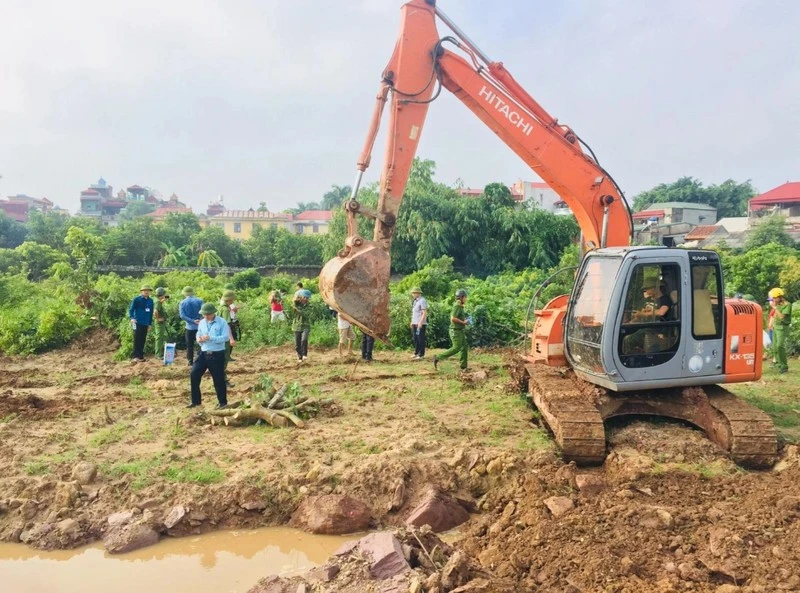 Nghị định 226/2025/NĐ-CP bổ sung quy định về bồi thường đối với cây trồng, vật nuôi khi Nhà nước thu hồi đất.