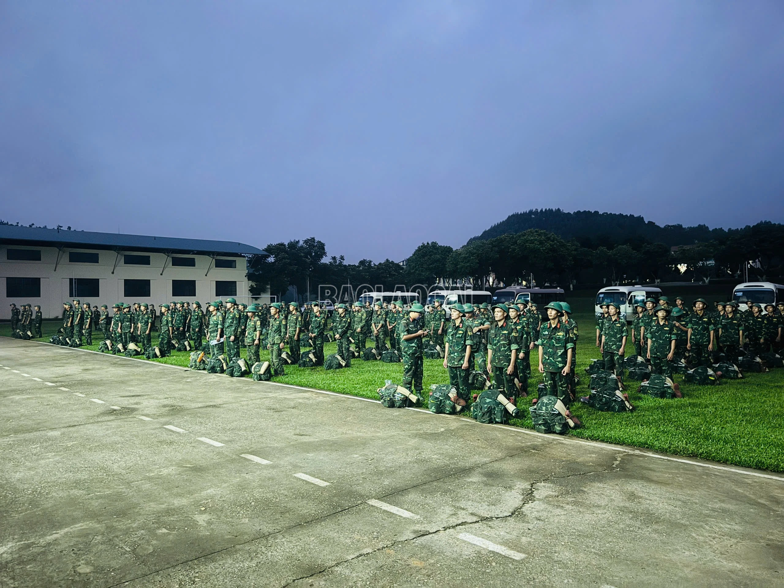 baolaocai-c_z7076678299299-2ce63dd3957a975845c9882b44f6383f.jpg
