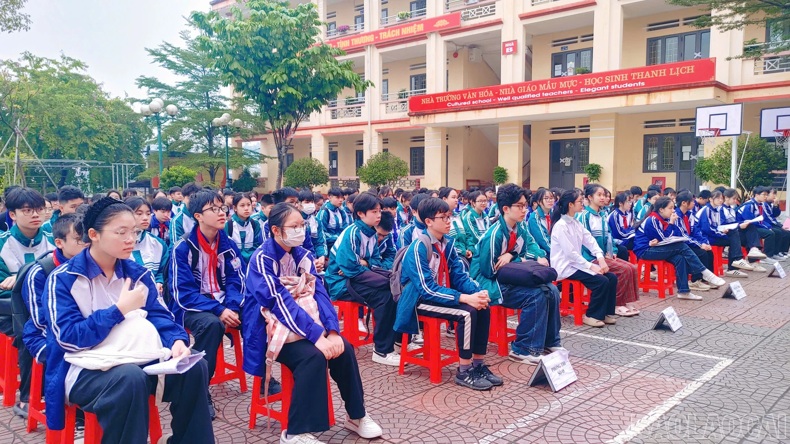baolaocai-br_z7348900256649-5d444c67f86d3d22836d5db087731bb2.jpg
