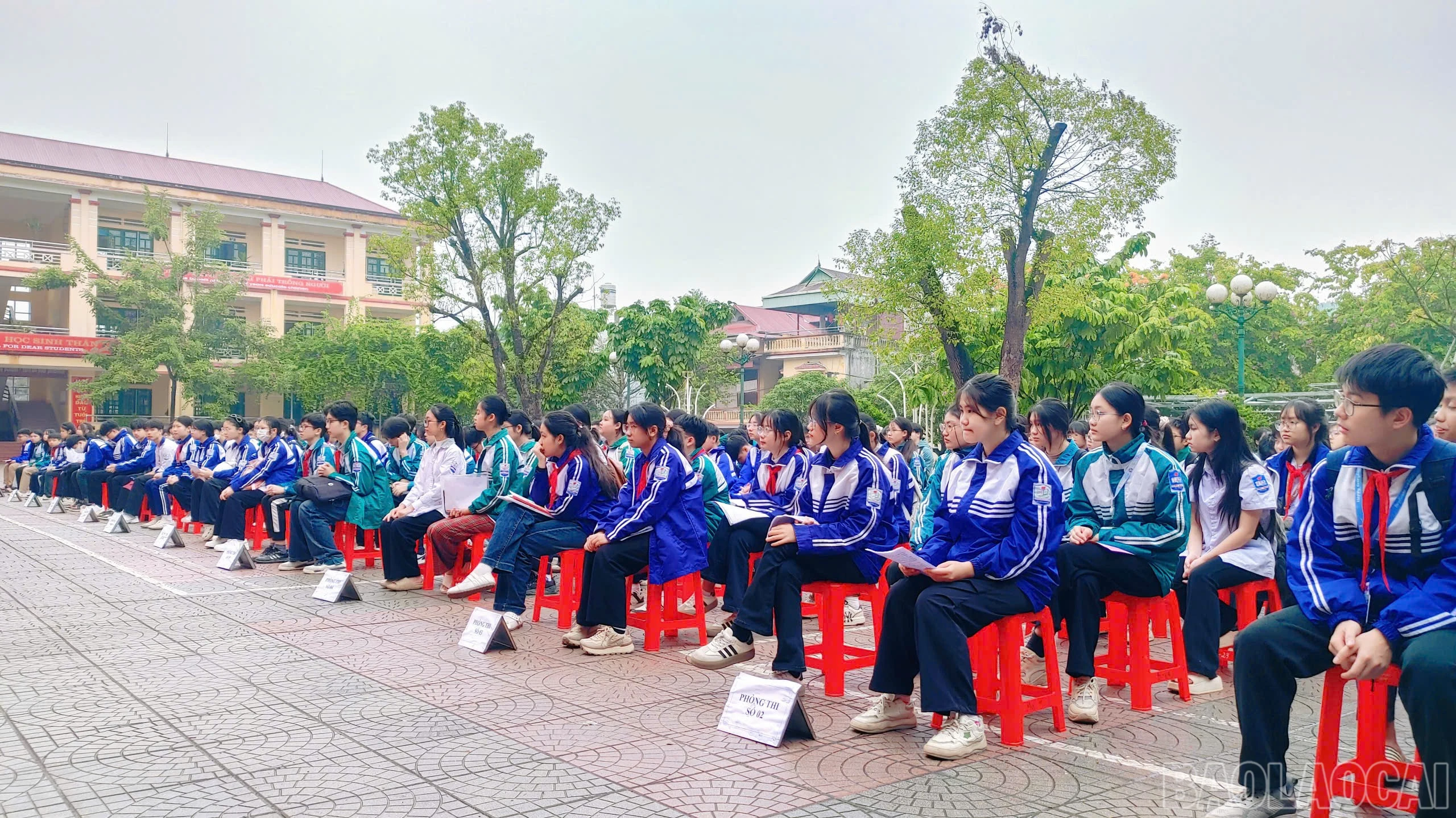baolaocai-br_z7348900273696-8ec68d6cfb8ca19e18efcf59ed402509.jpg