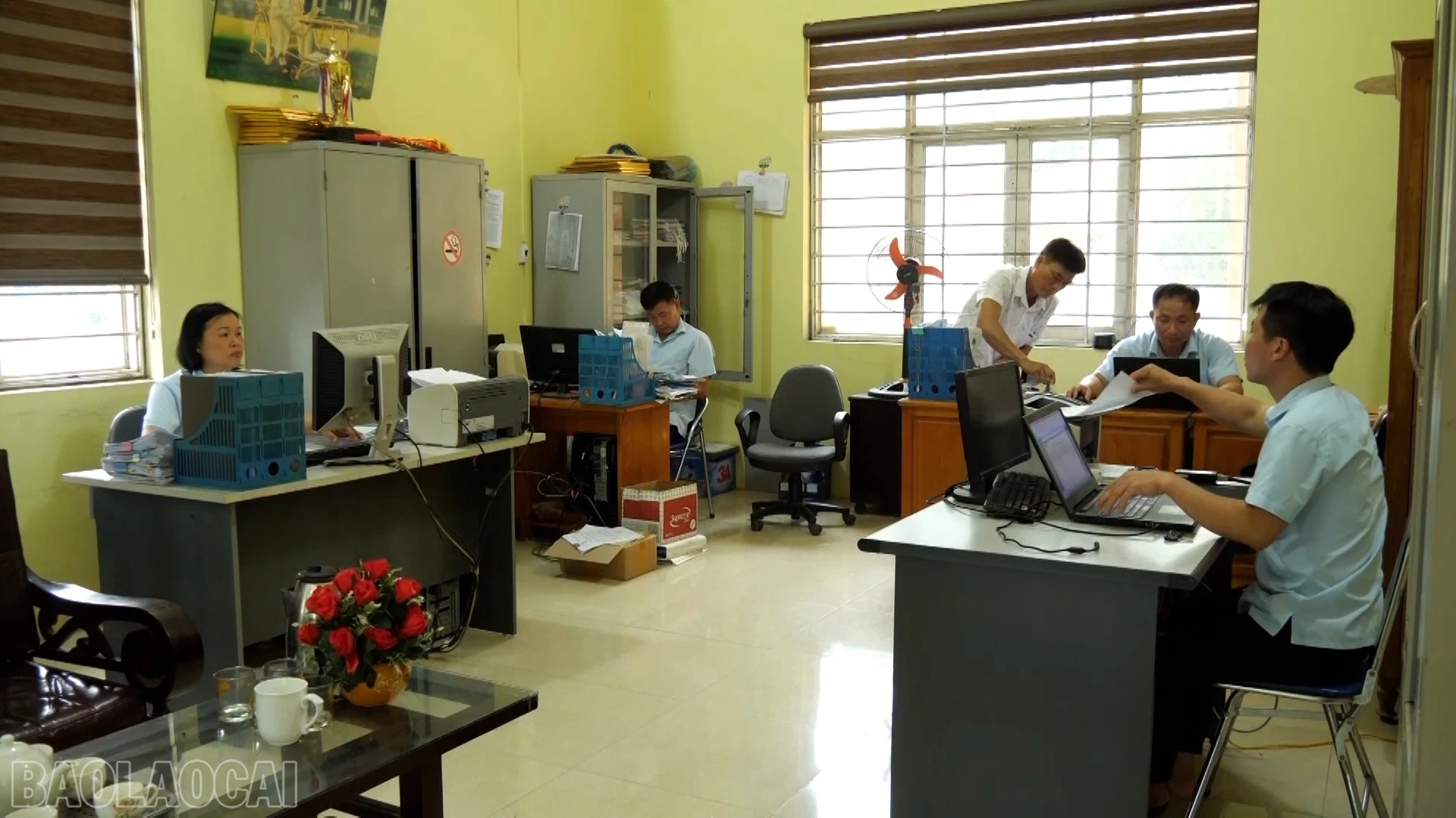 baolaocai-bl_anh-1.jpg