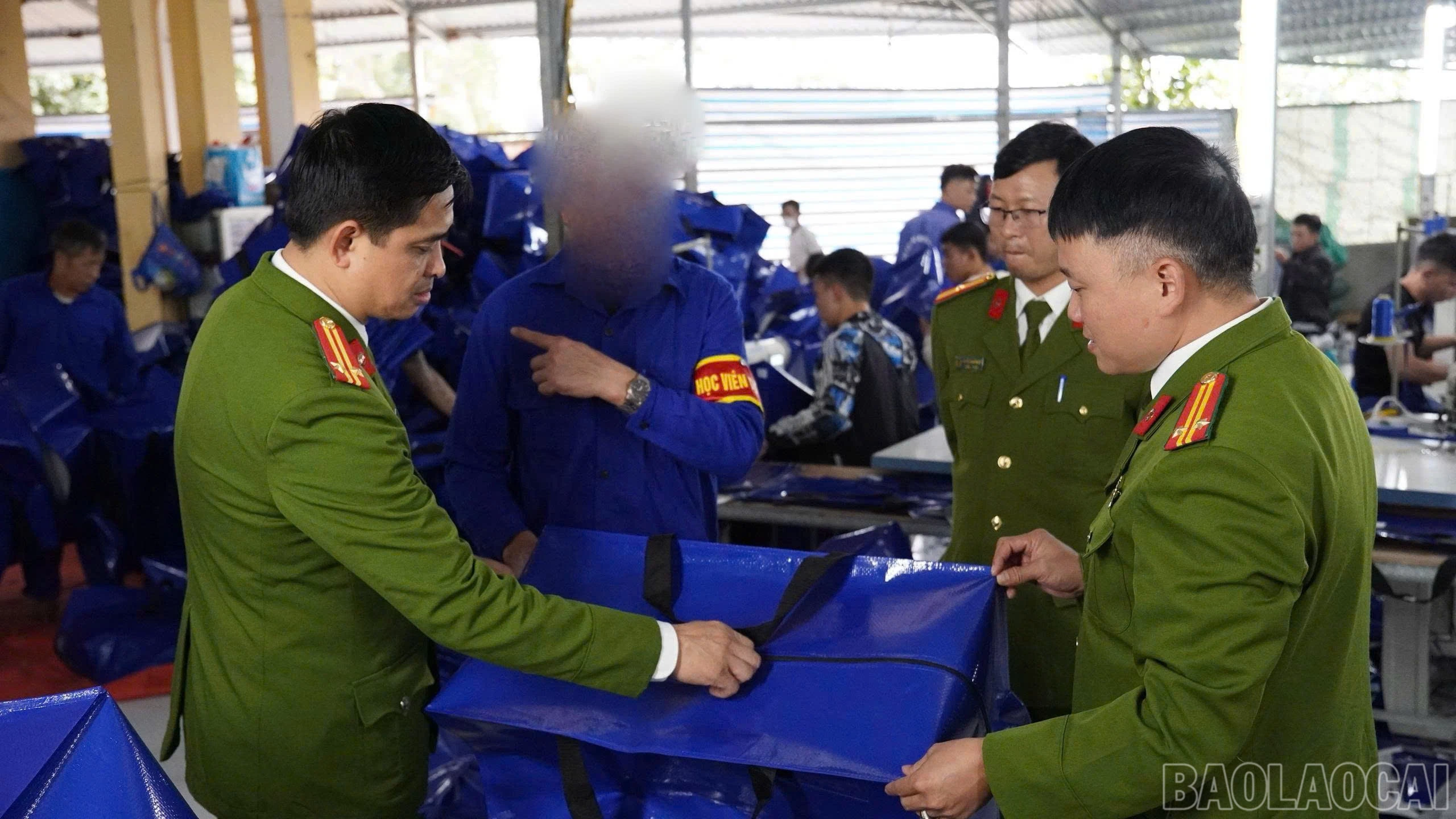 baolaocai-br_z7346488855327-a2f5a27eb408ac8719cd71c09c6495e5.jpg