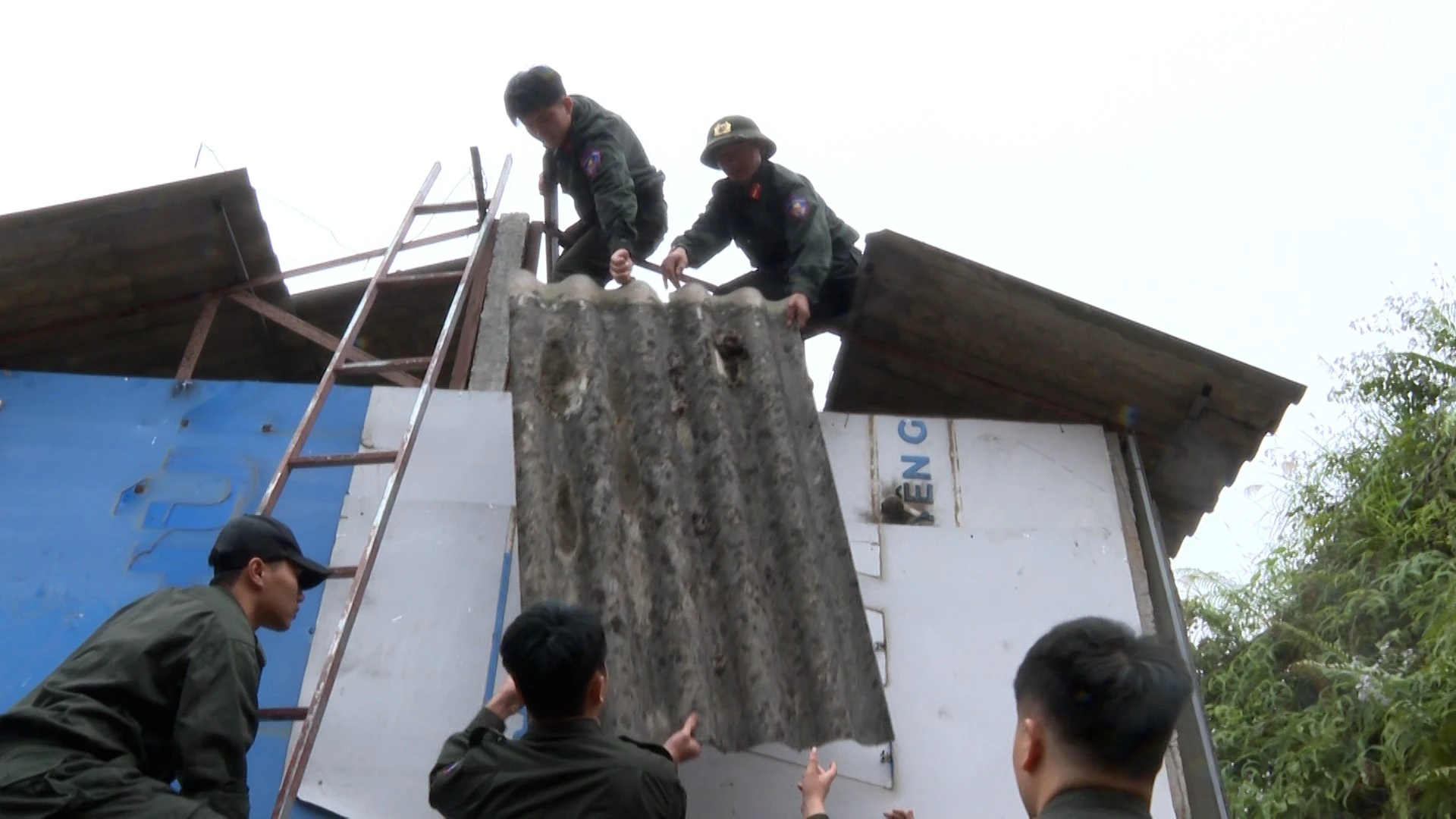baolaocai-tr_anh-7.jpg