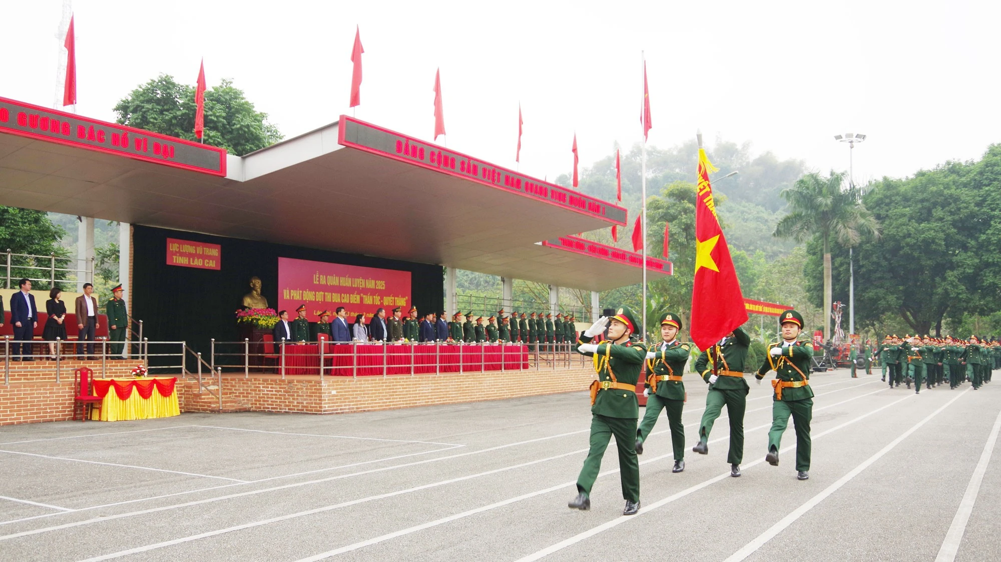 qd1.jpg