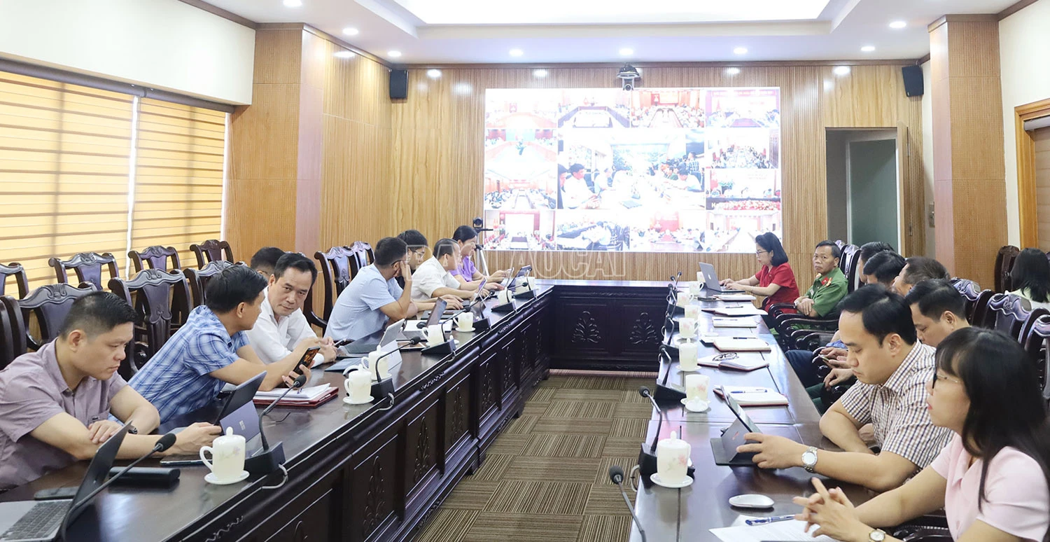 bao-so-3.jpg
