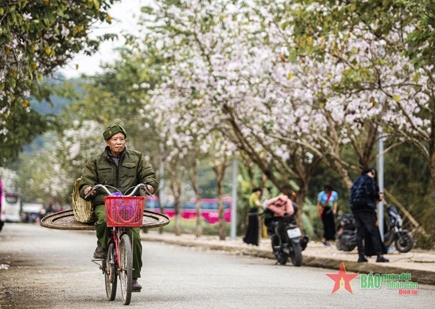 Thời tiết hôm nay (25/3): Miền Bắc tiếp tục nắng ấm. Ảnh minh họa: qdnd.vn