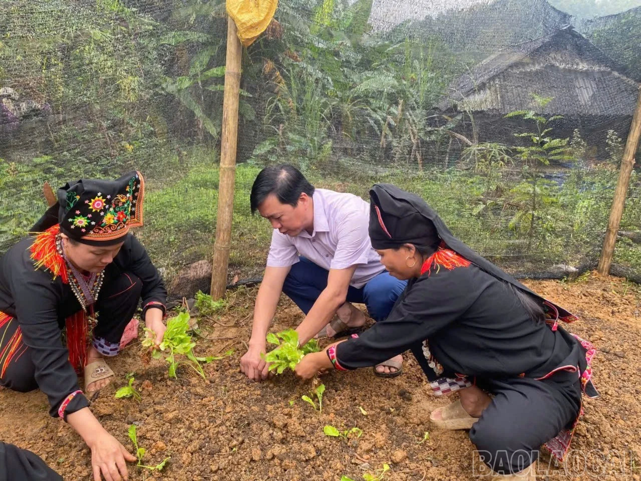 lanh-dao-xa-phong-du-ha-cung-nhan-dan-huong-ung-cac-phong-trao-thi-dua-huong-toi-ngay-bau-cu.jpg