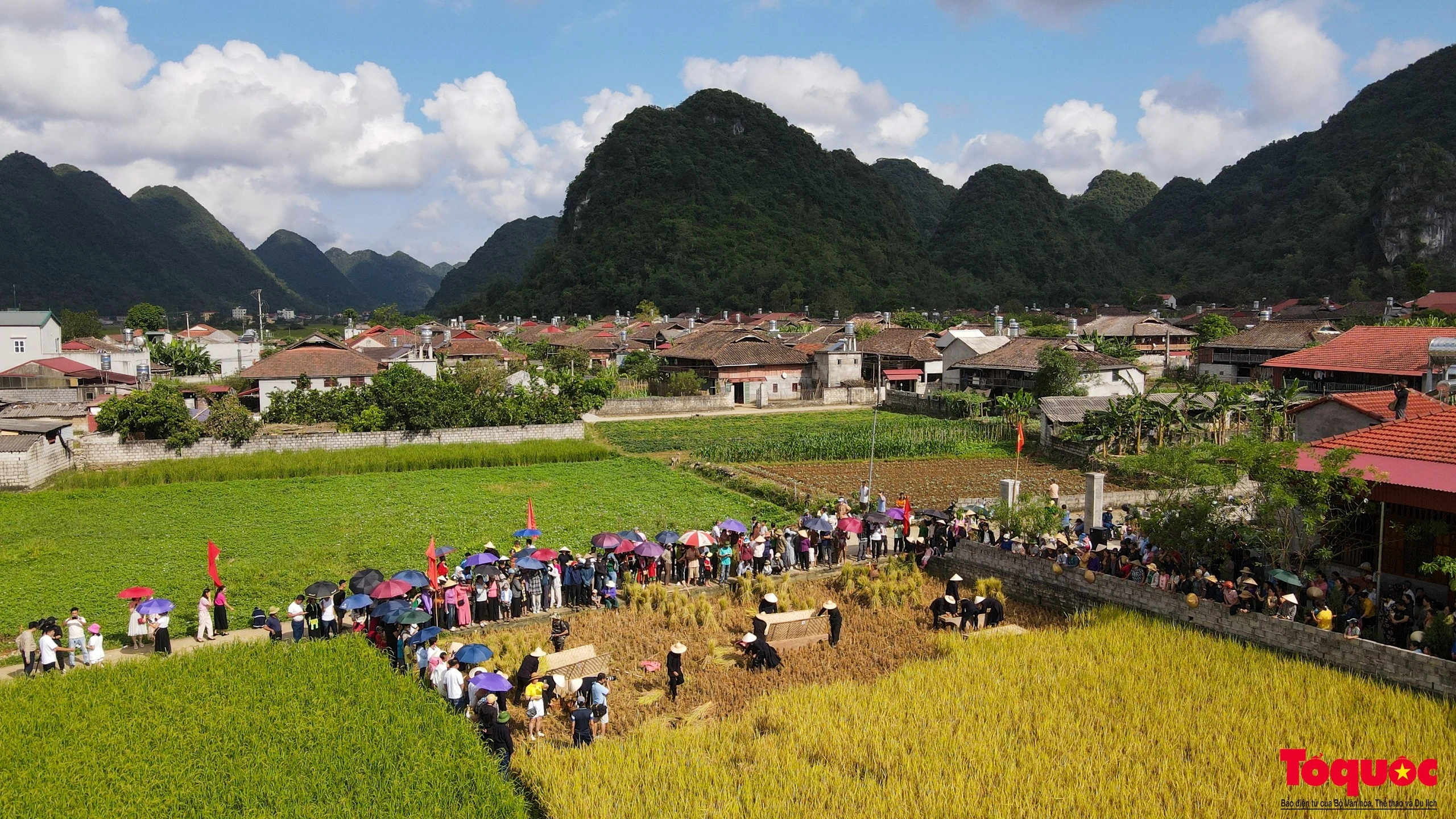 Đến huyện Bắc Sơn mùa thu, du khách có dịp hòa mình vào lễ hội gặt lúa cùng đồng bào người Tày, Dao. Phần thi có ba đội tham gia, mỗi đội có 4 thành viên đến từ các xã Bắc Quỳnh, Hưng Vũ và Long Đống.