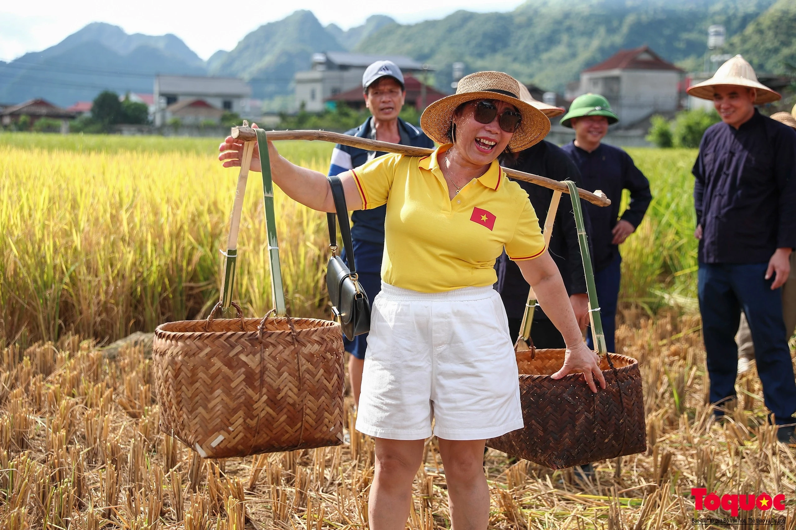 Khách du lịch và nhân dân tham gia, trải nghiệm gặt lúa bằng công cụ thô sơ trên cách đồng xã Bắc Quỳnh.