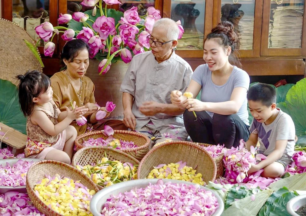 Nghề ướp trà sen Quảng An được đưa vào Danh mục di sản văn hóa phi vật thể quốc gia. Ảnh: hanoimoi.vn