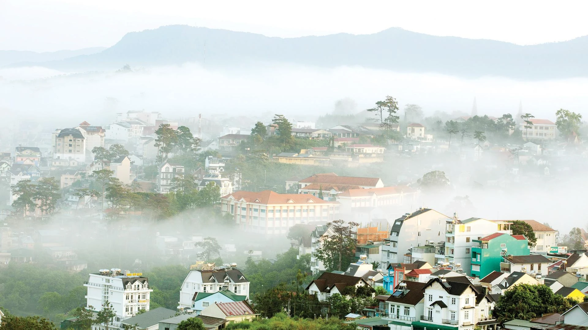 Đà Lạt trong sương.